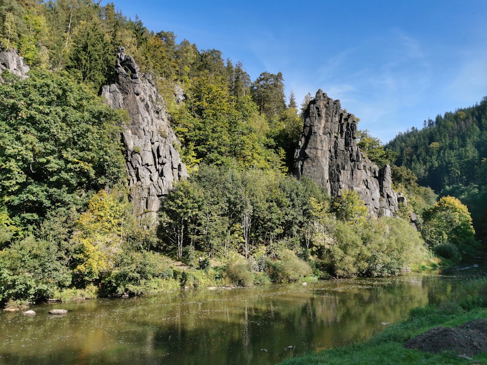 a river running through a lush green forest