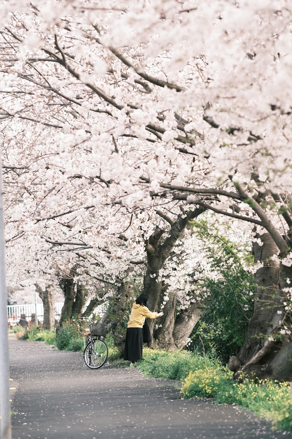 a woman standing next to a tree filled with flowers