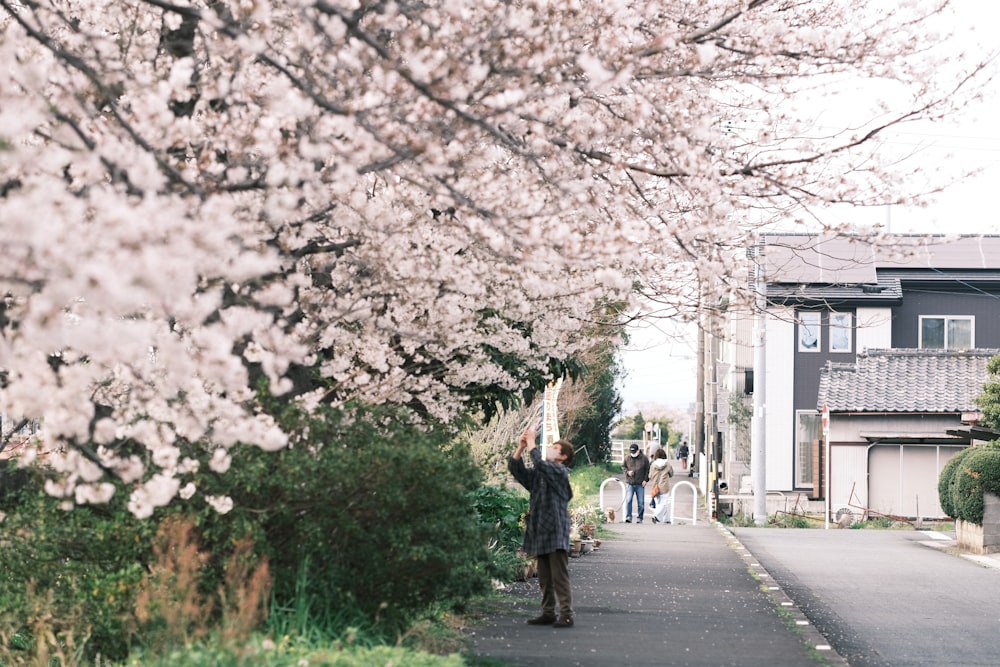 a man standing on a sidewalk next to a tree filled with flowers