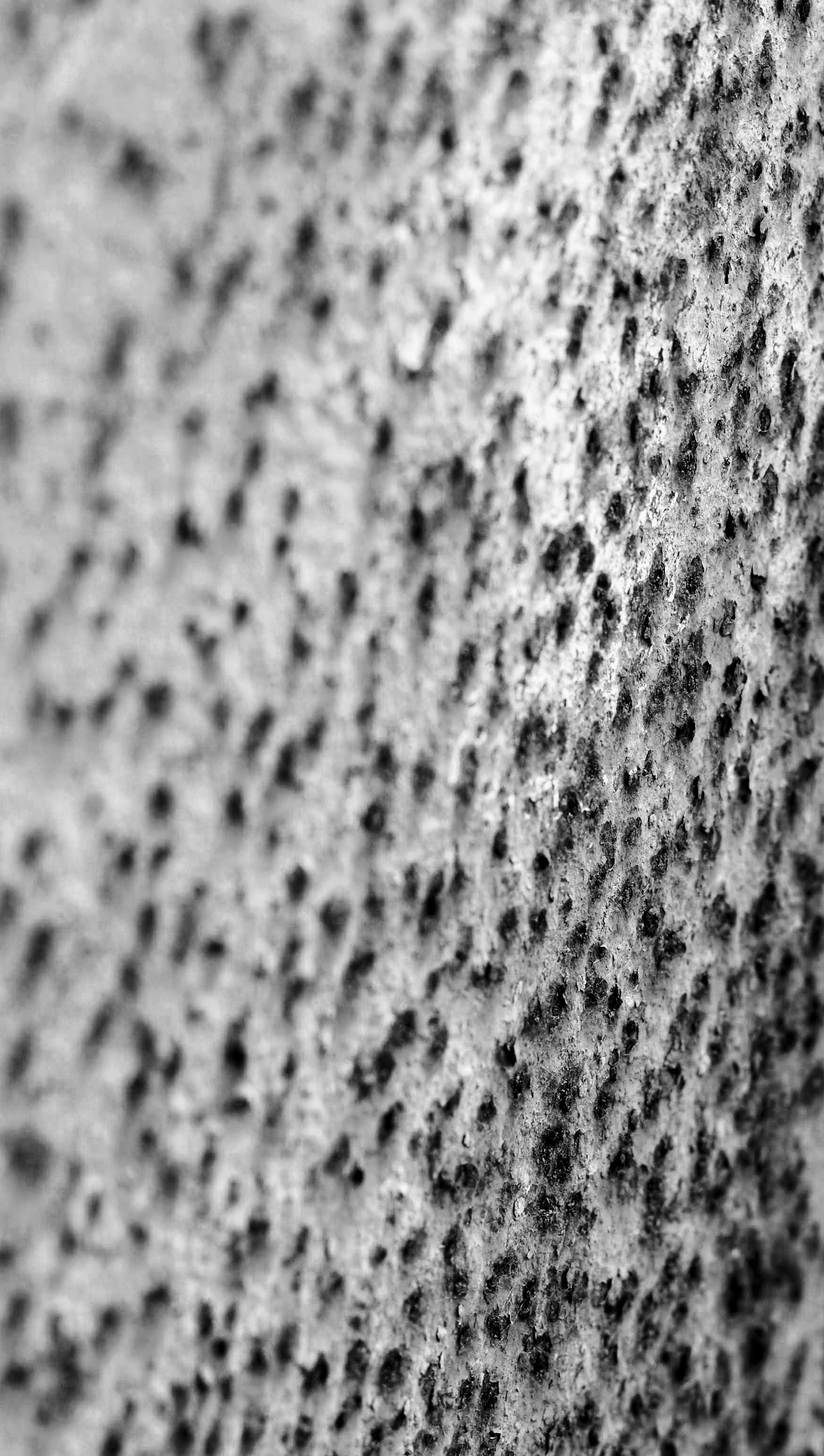 Photo by vanillavibes