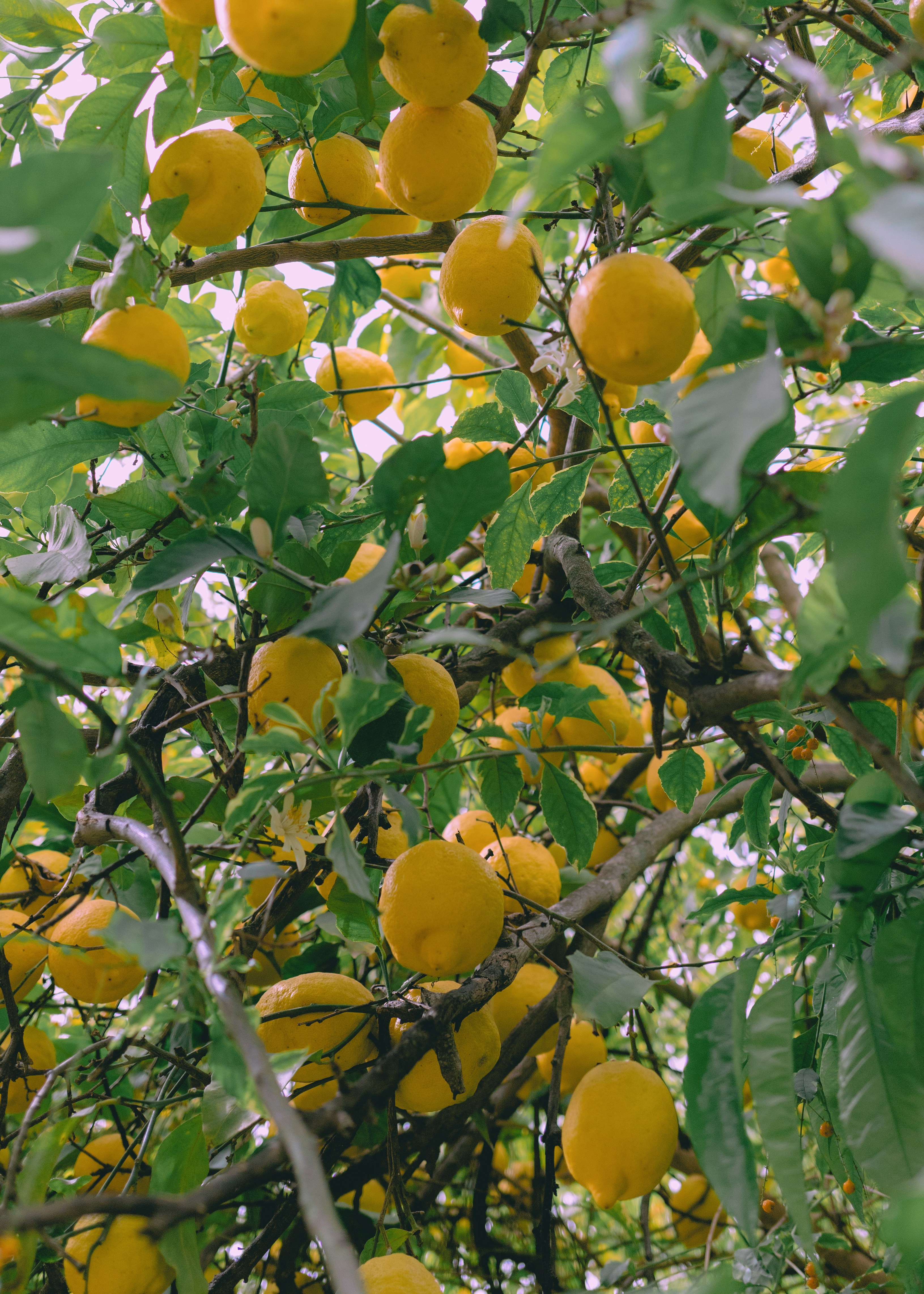 Photo by juliamatuzova