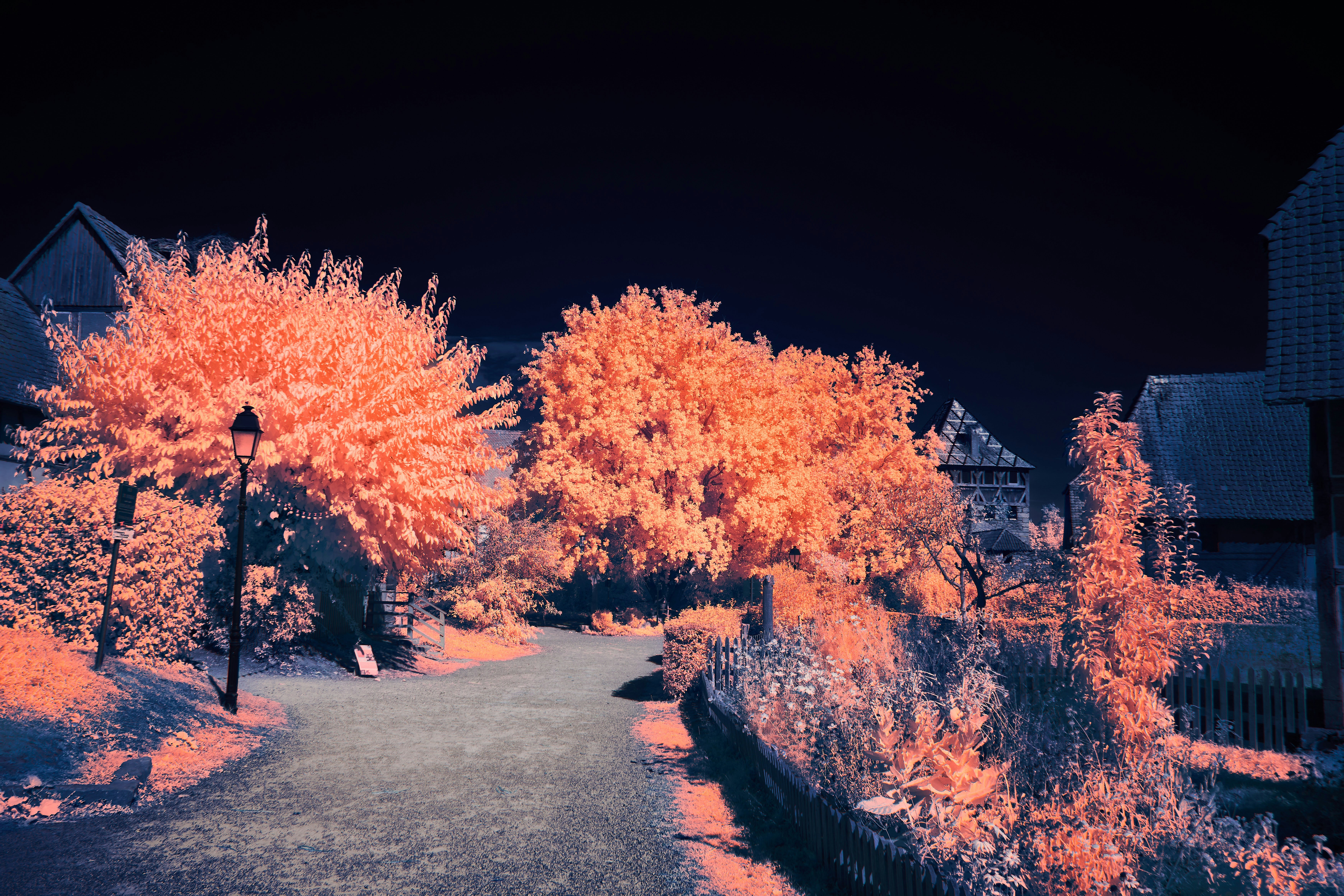 Photo by wolfgang_hasselmann