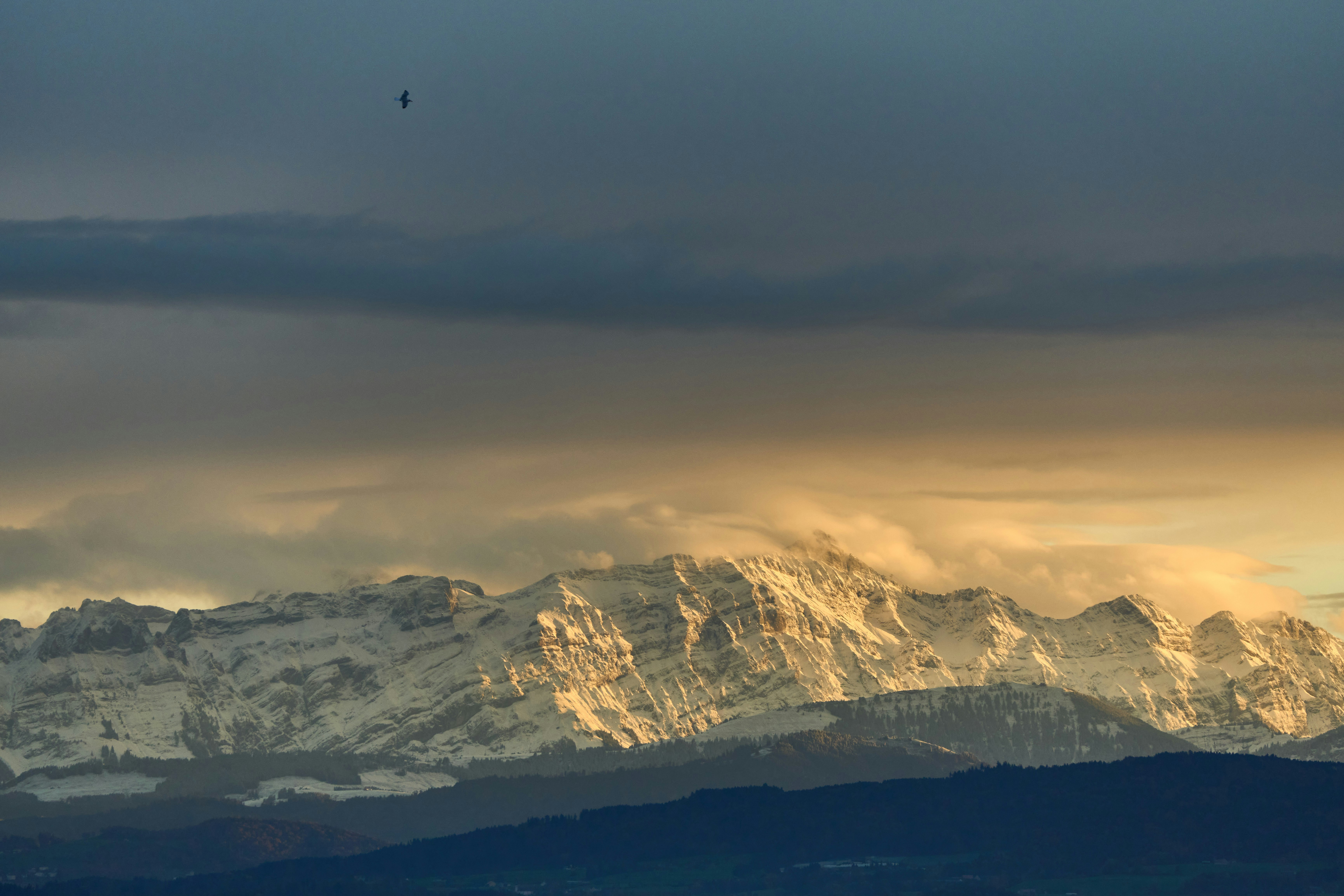 Photo by wolfgang_hasselmann