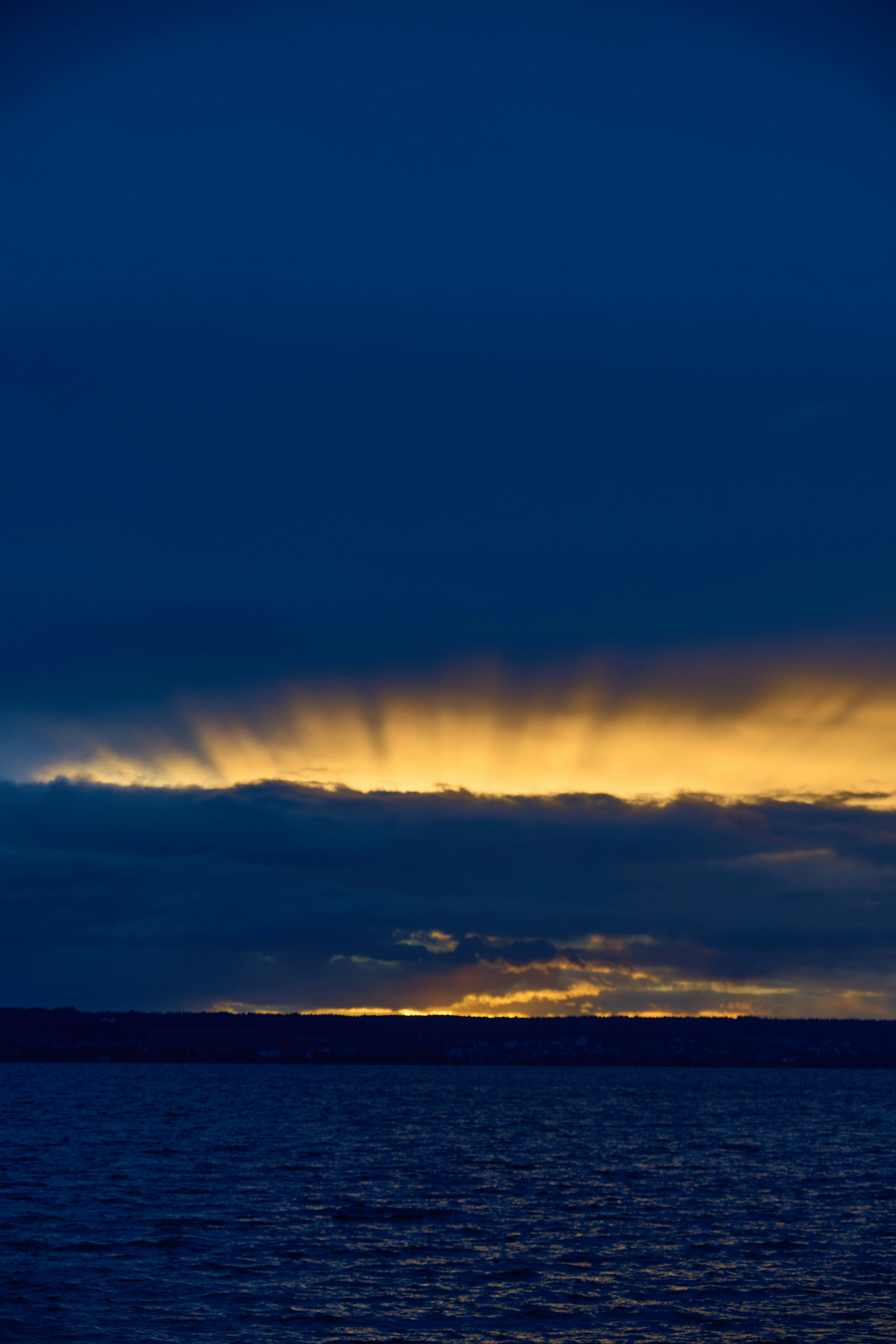 Photo by wolfgang_hasselmann