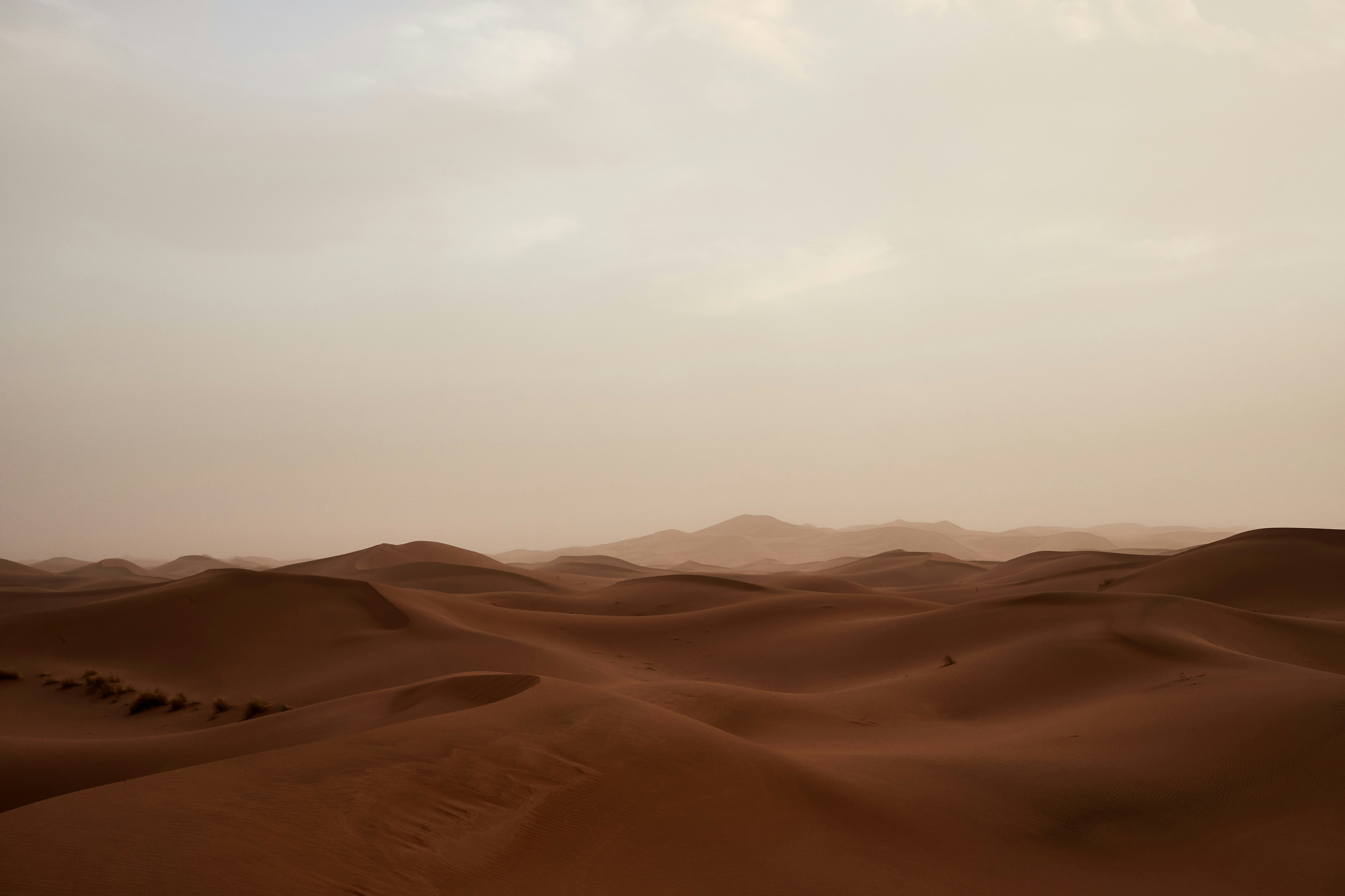 Photo by wolfgang_hasselmann