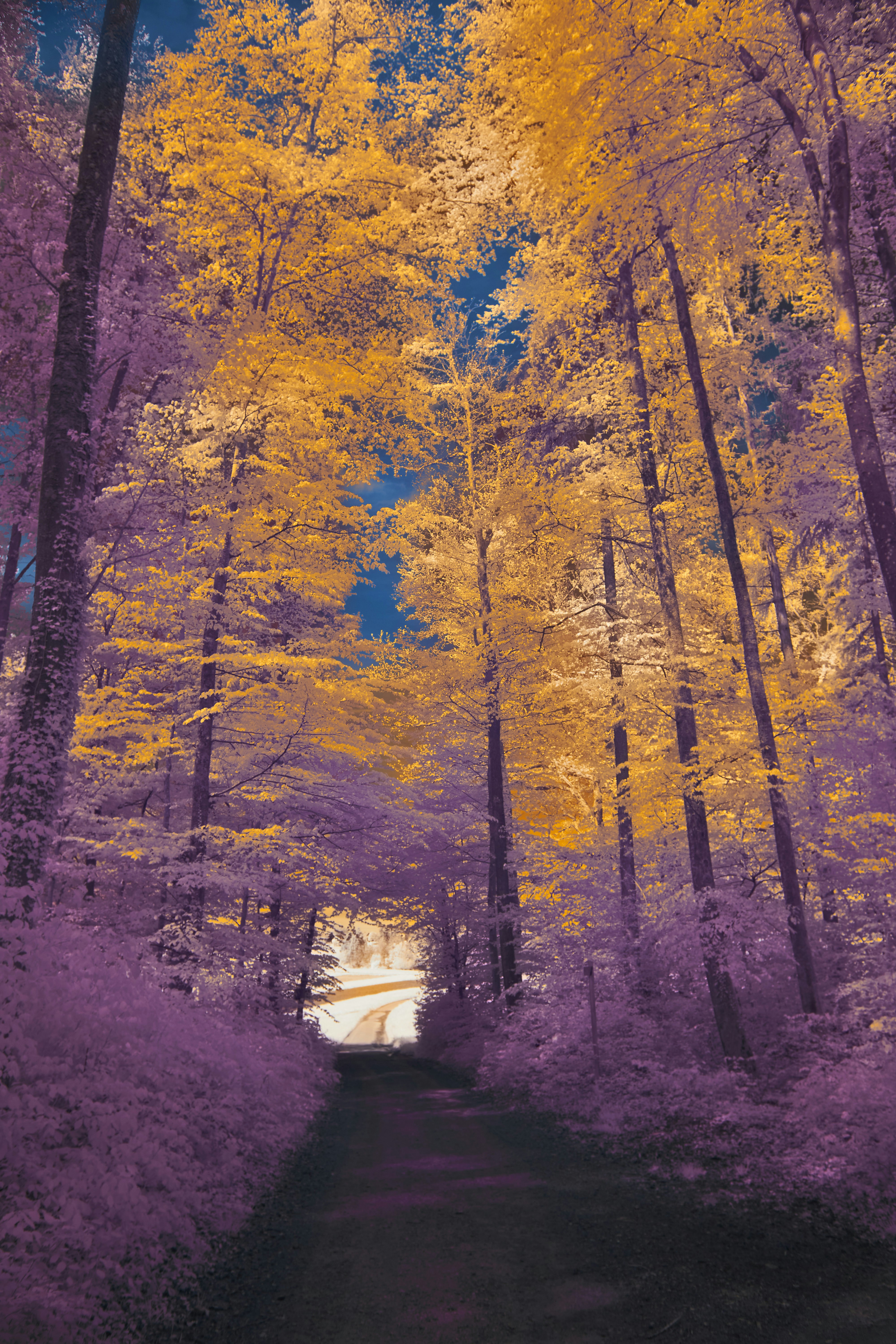 Photo by wolfgang_hasselmann