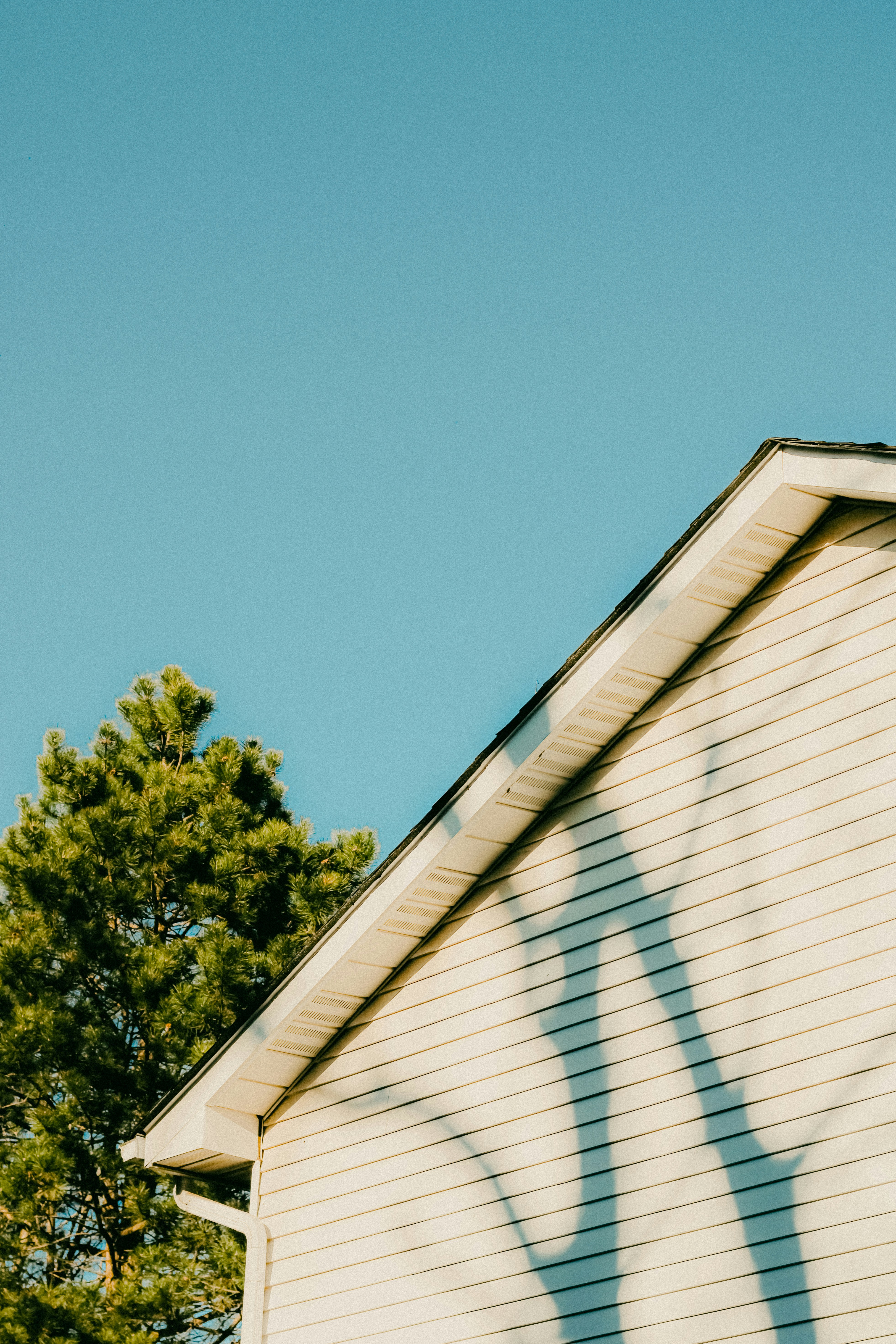 Photo by linusbelanger