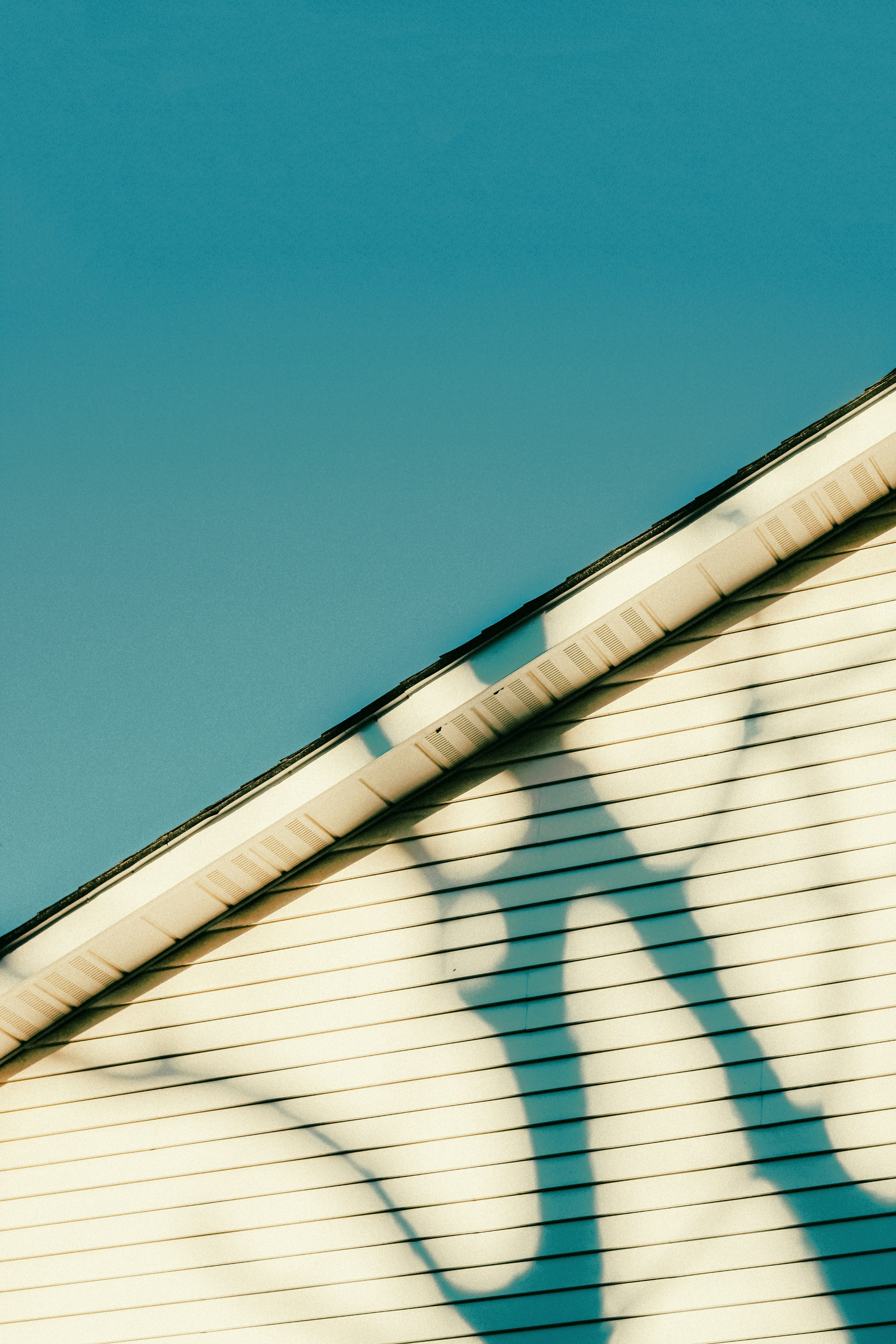 Photo by linusbelanger