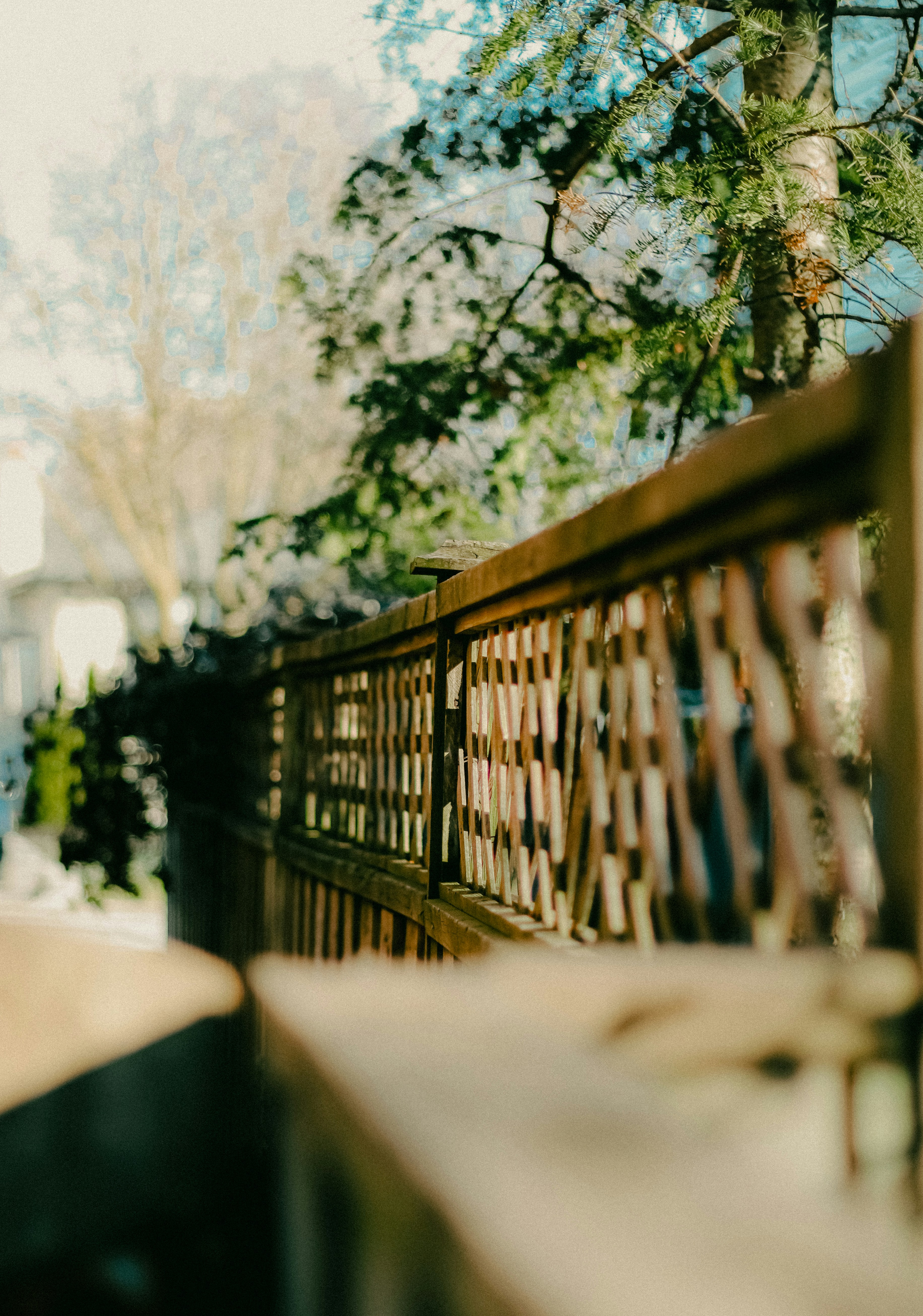 Photo by linusbelanger