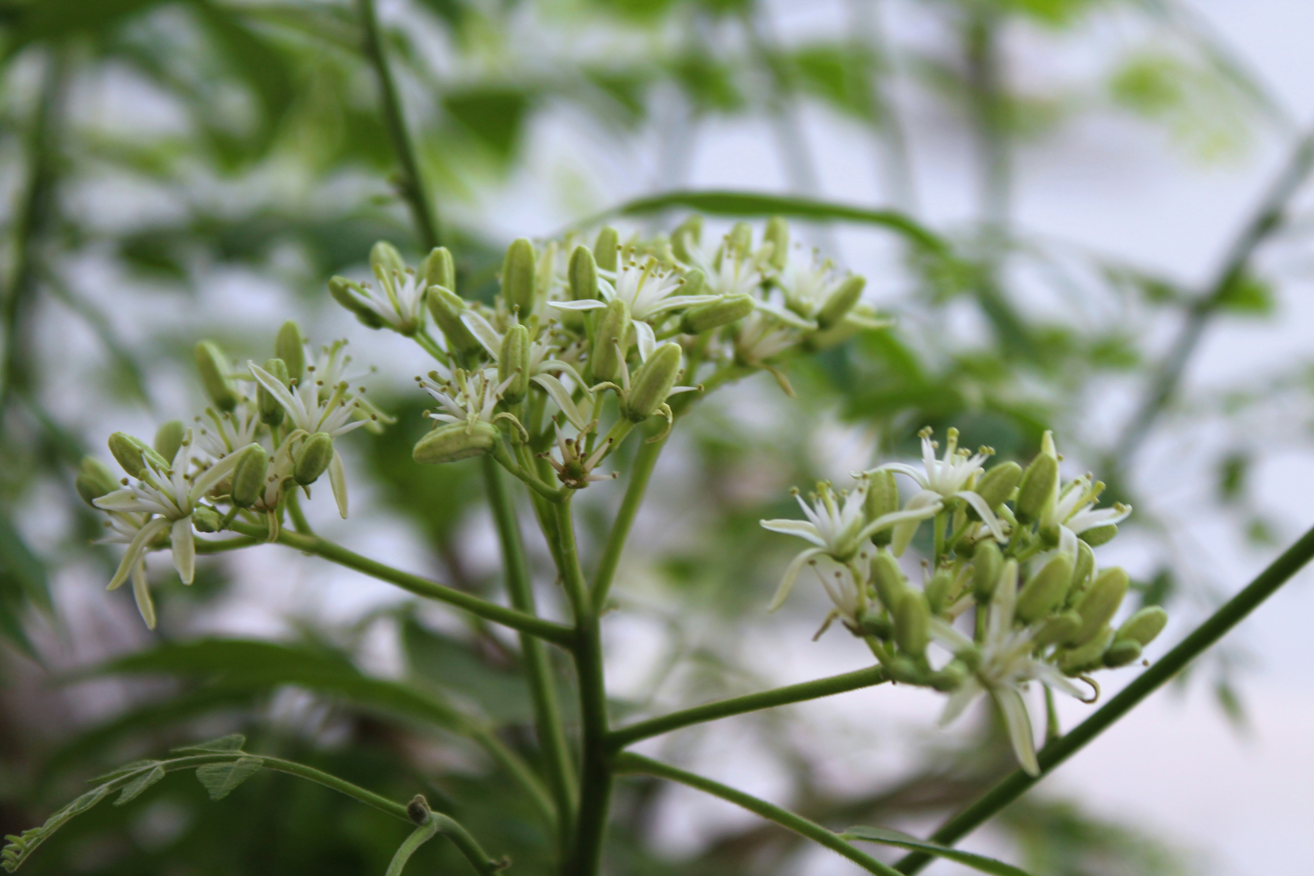 Photo by akhilabhilash01