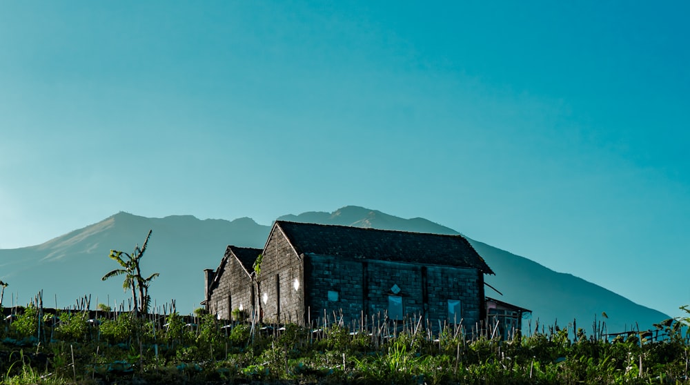 a house in a field with a mountain in the background