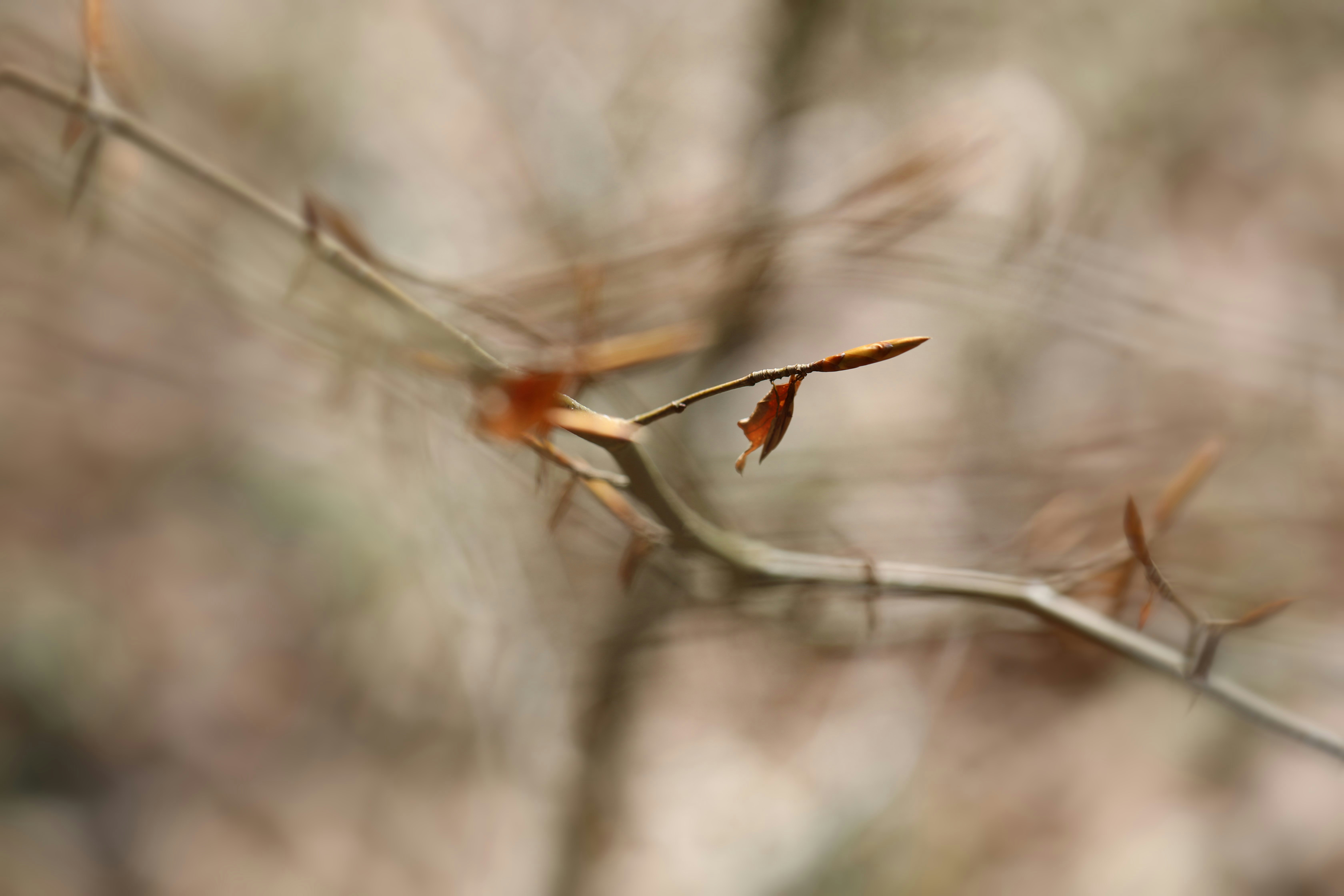 Photo by bmgs_1978