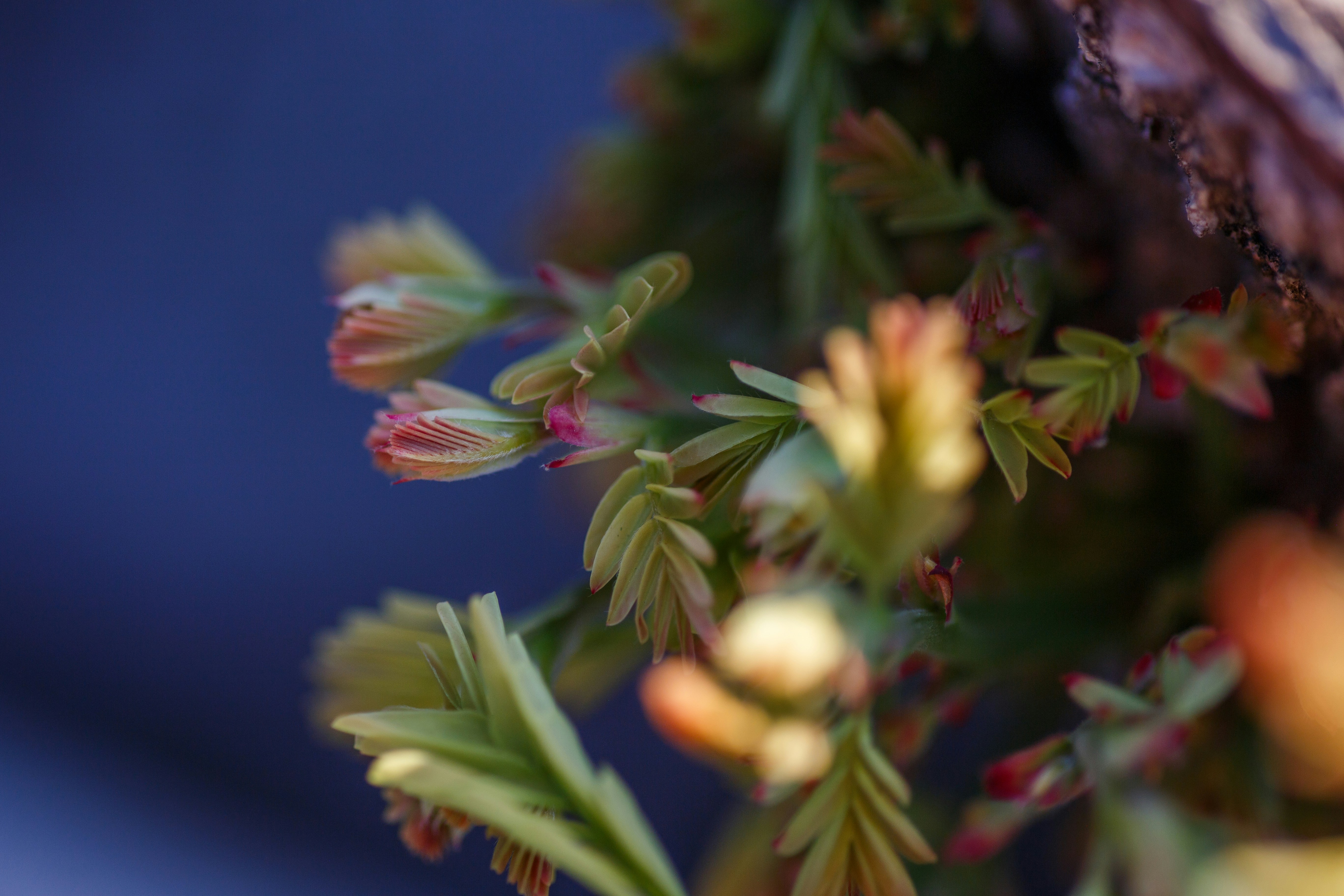 Photo by hectorfalcon