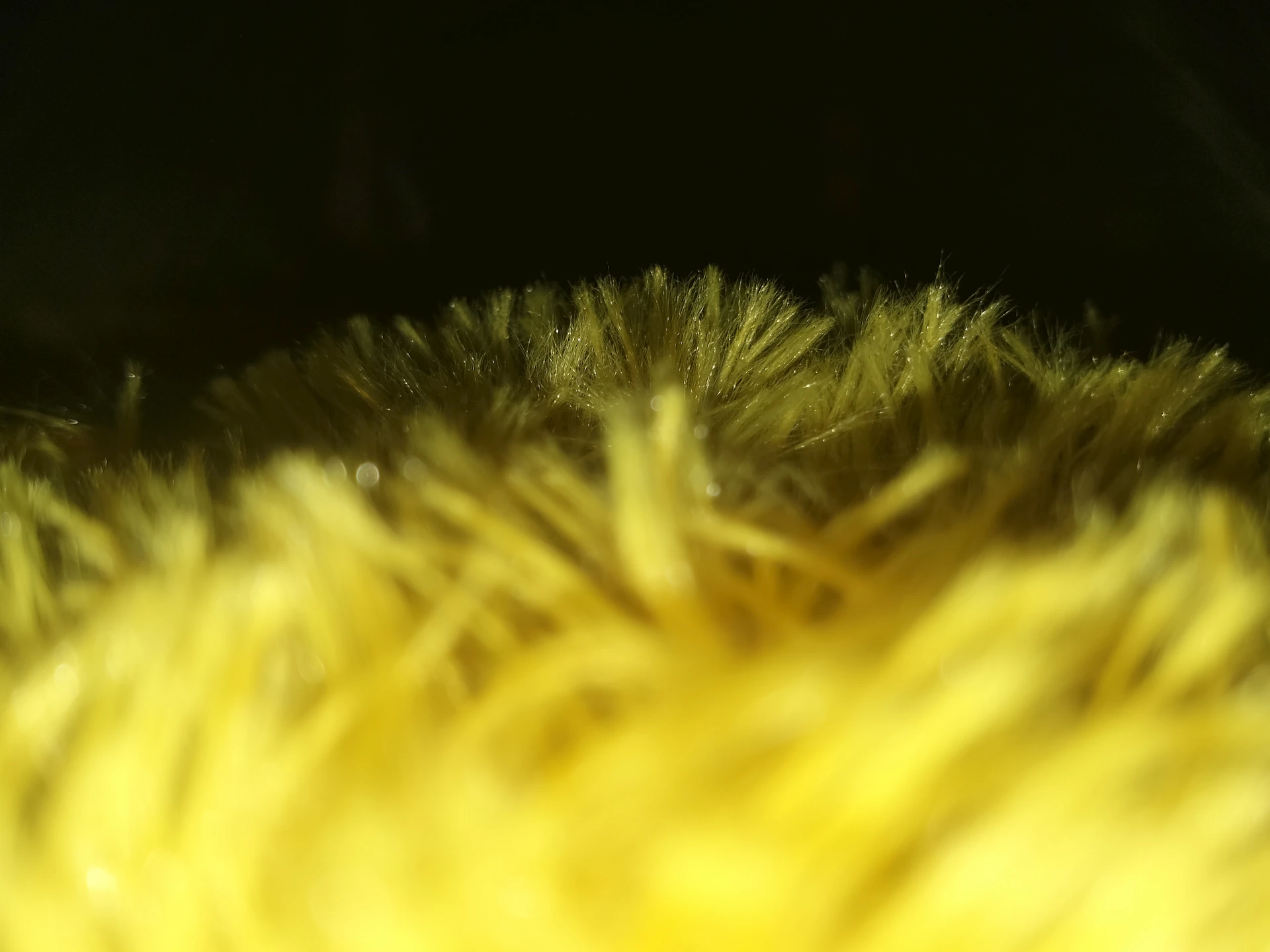 a close up of a yellow fuzzy object