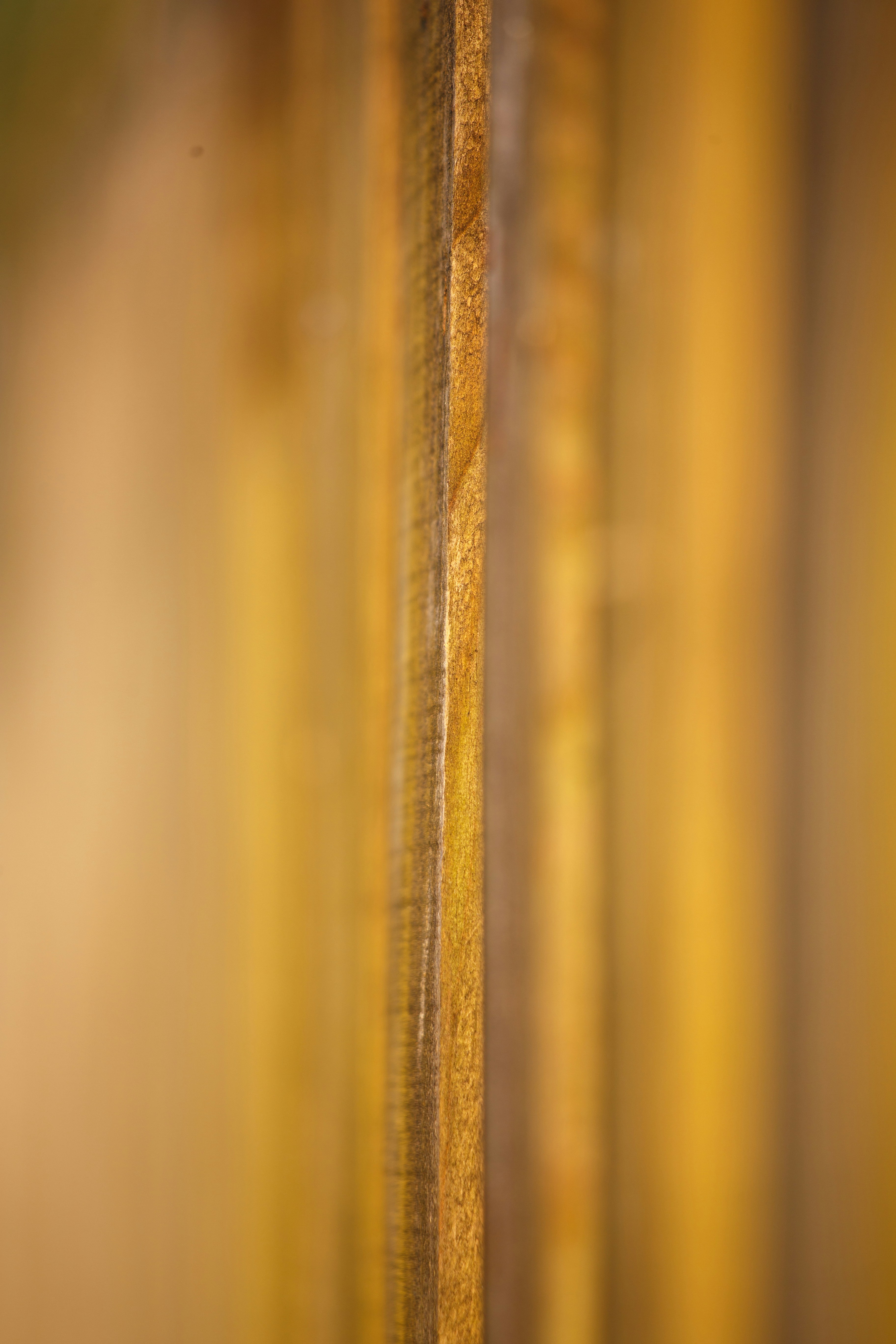 Photo by hectorfalcon