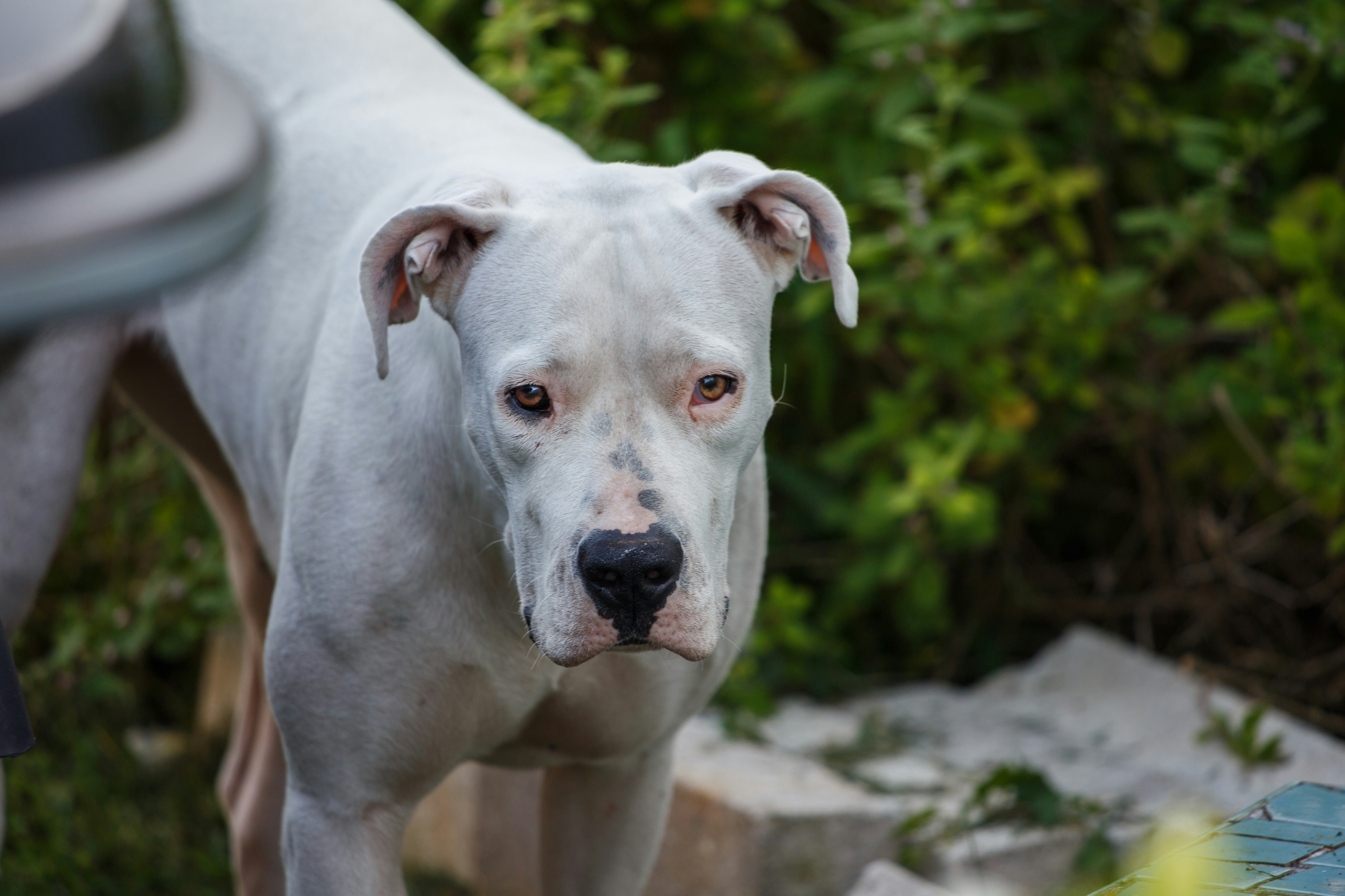 Photo by hectorfalcon