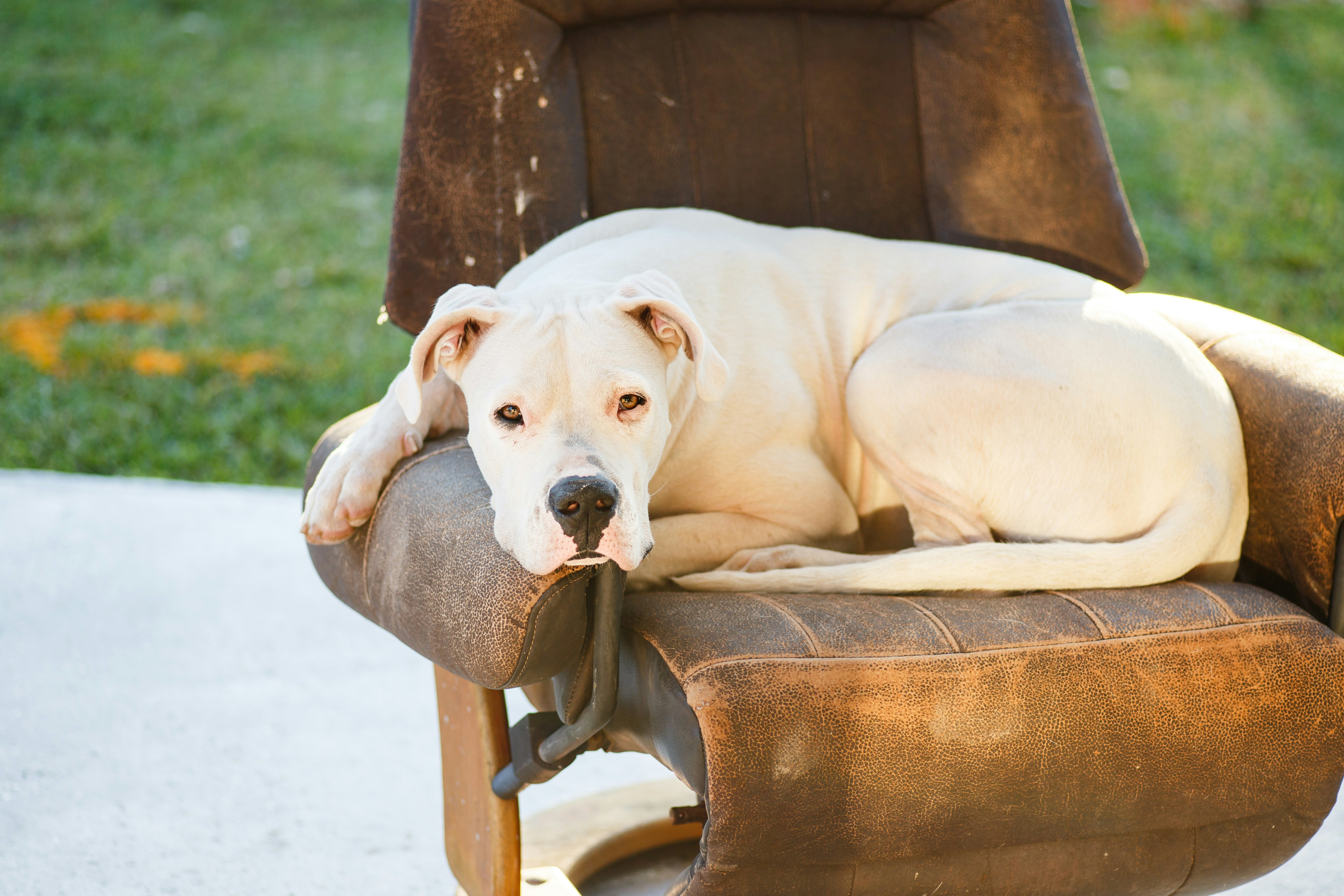 Photo by hectorfalcon