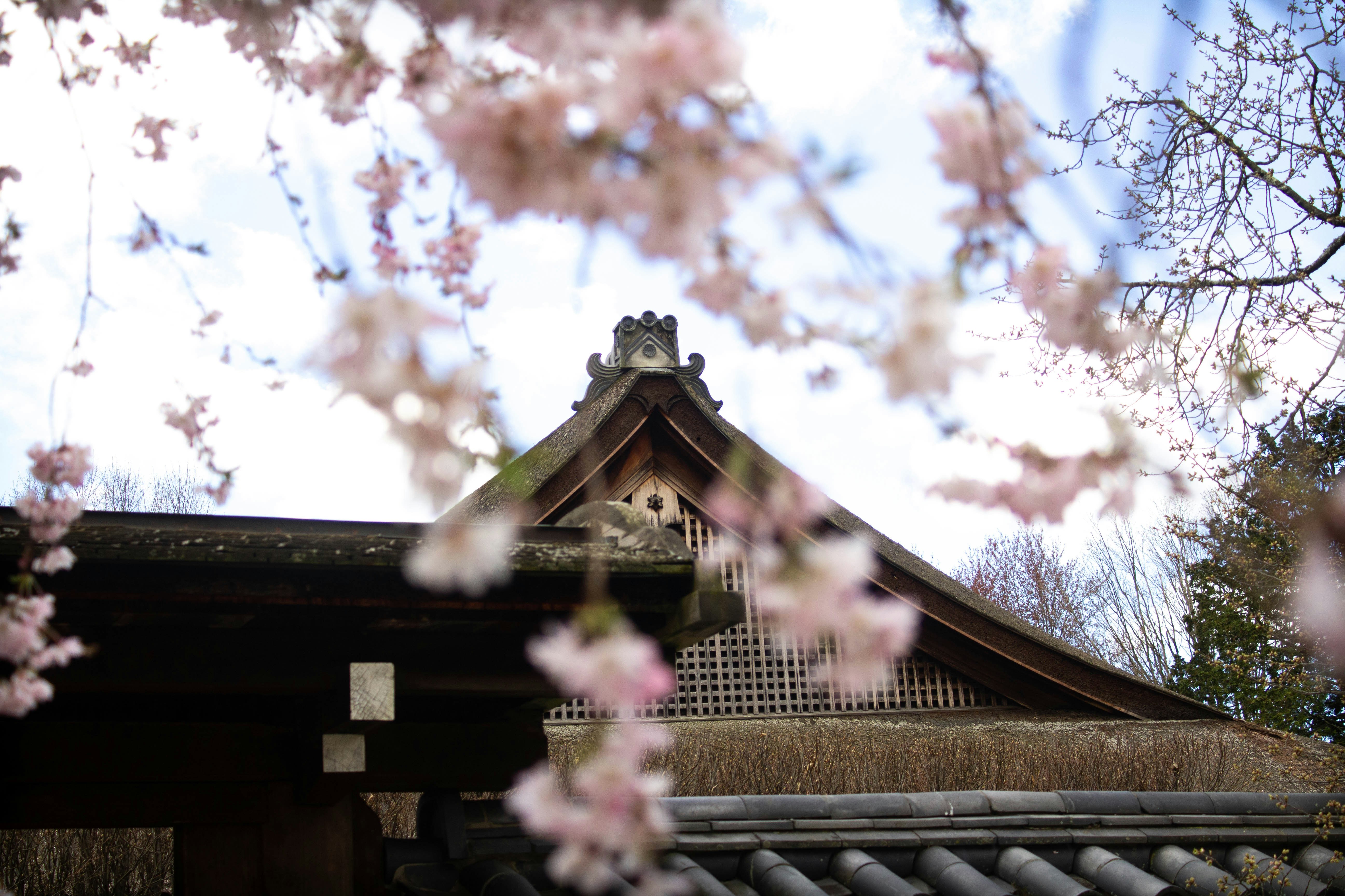 Photo by jennys_eye0