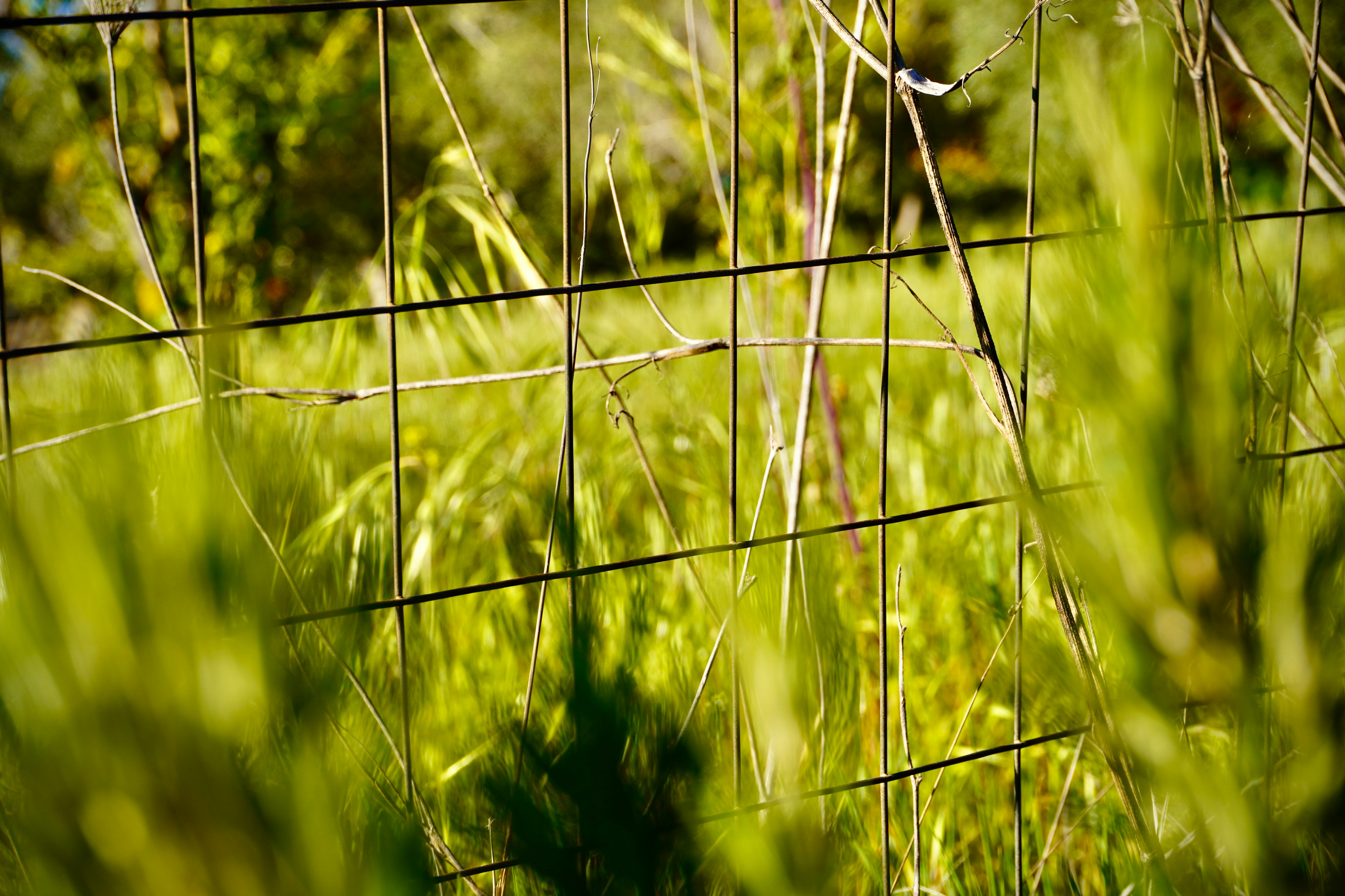 Photo by carlalipani