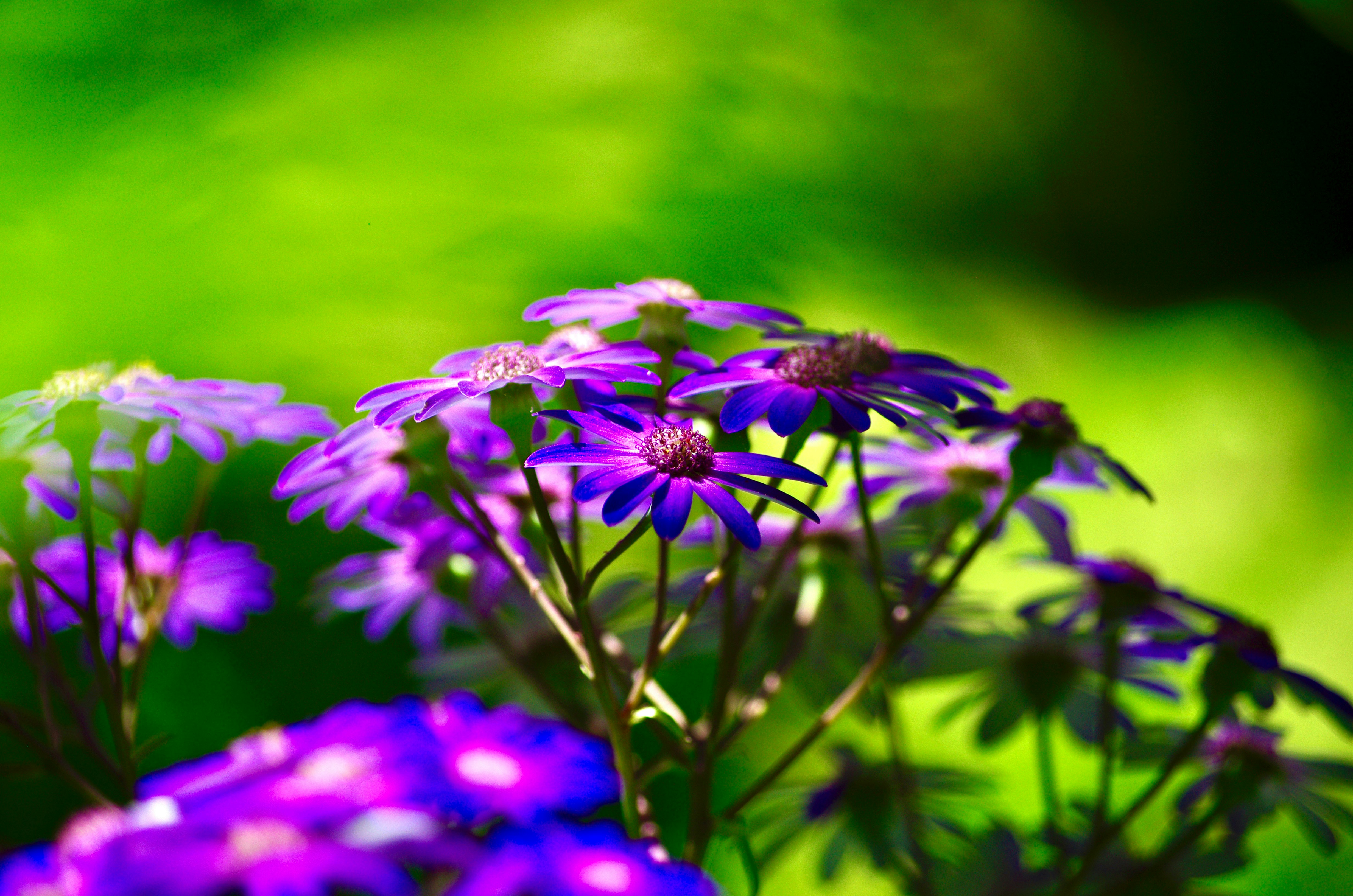 Photo by rockinsolex