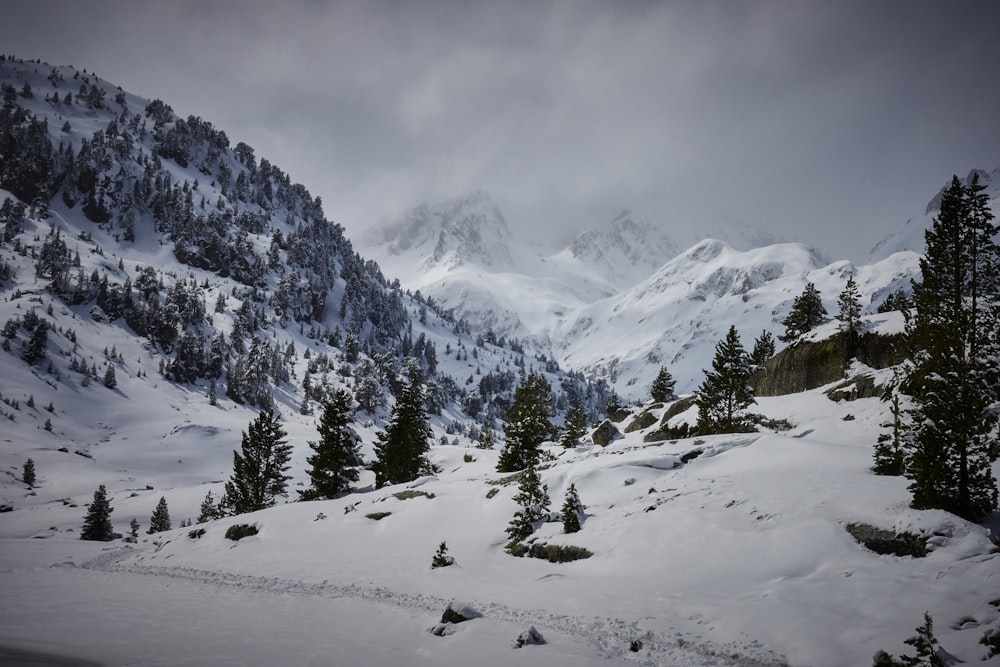 a mountain covered in snow with trees in the foreground