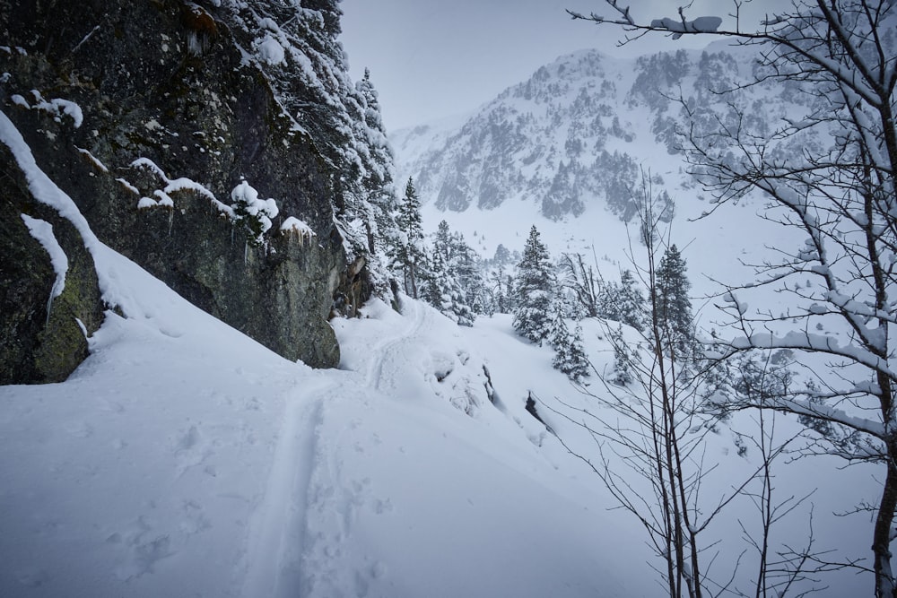 a snow covered mountain side with trees and rocks