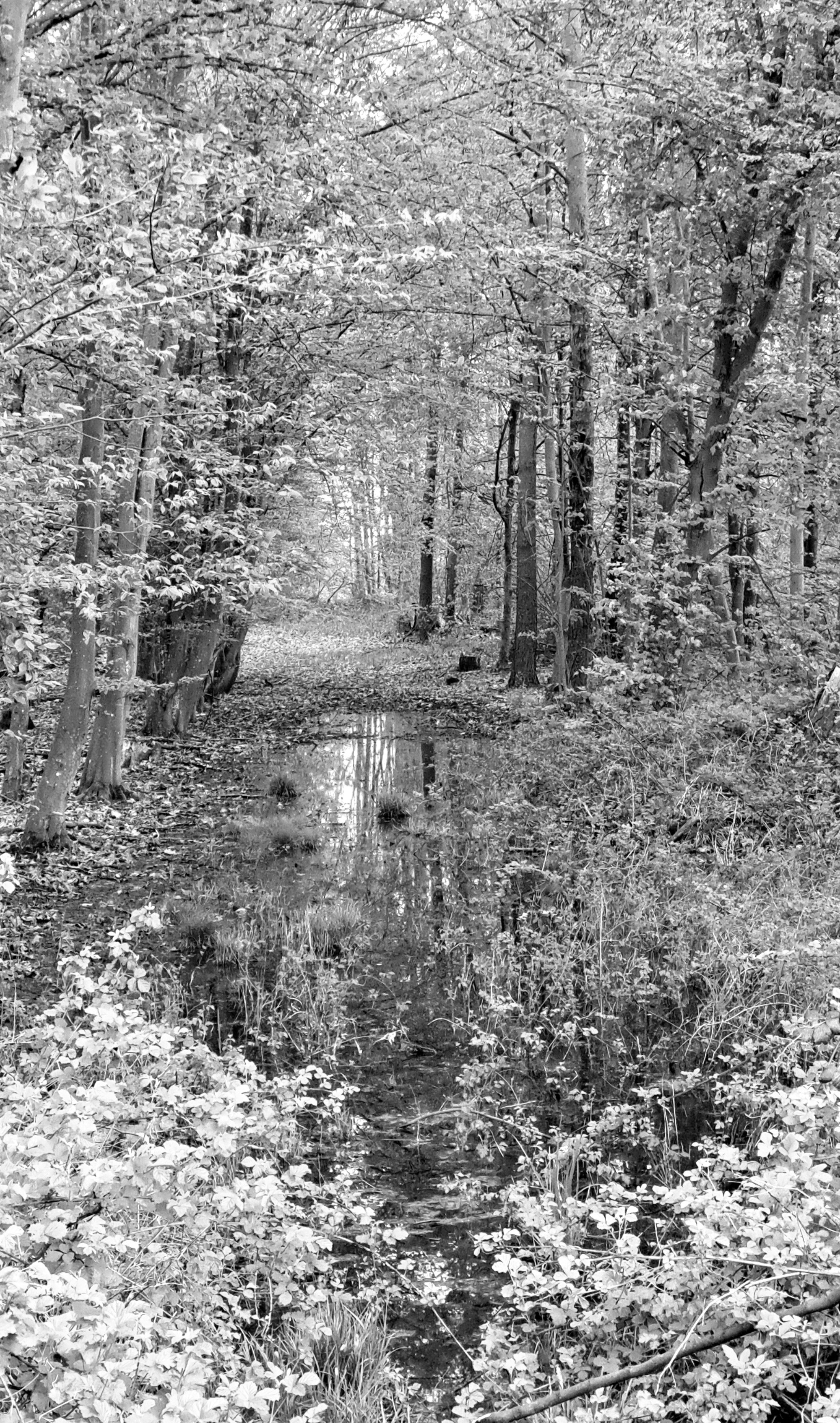 Photo by schreibmich