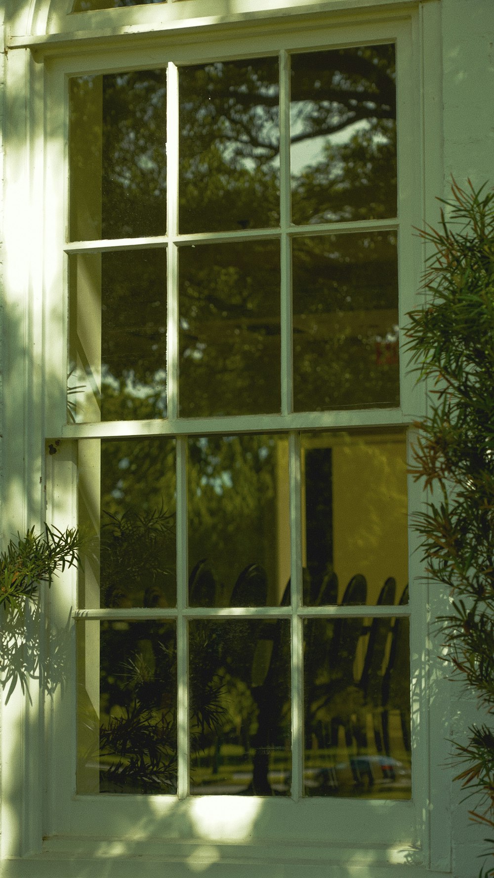 a cat sitting on a window sill next to a potted plant