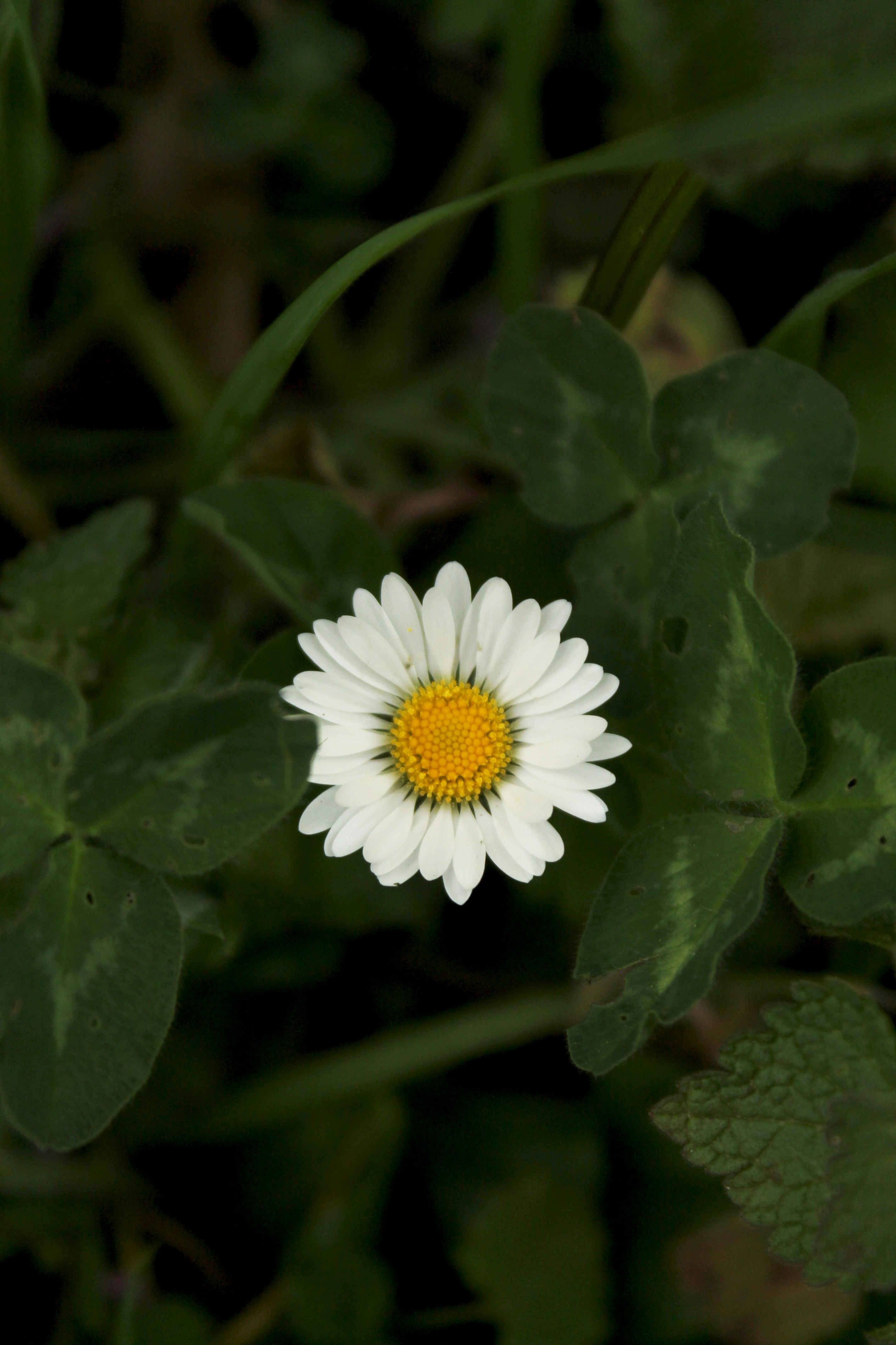 Photo by wswierzgon