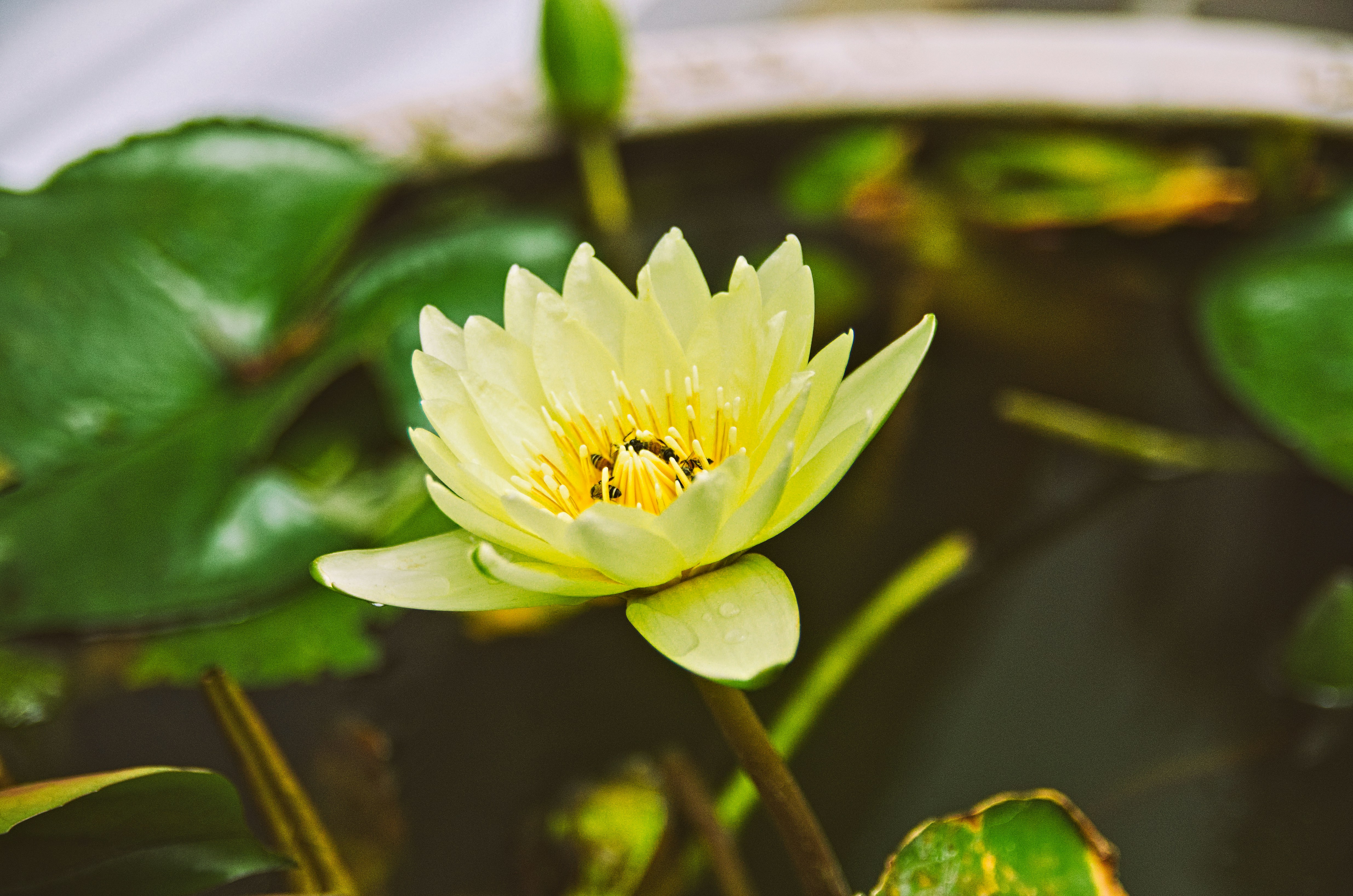 Photo by techadvancedcyborg