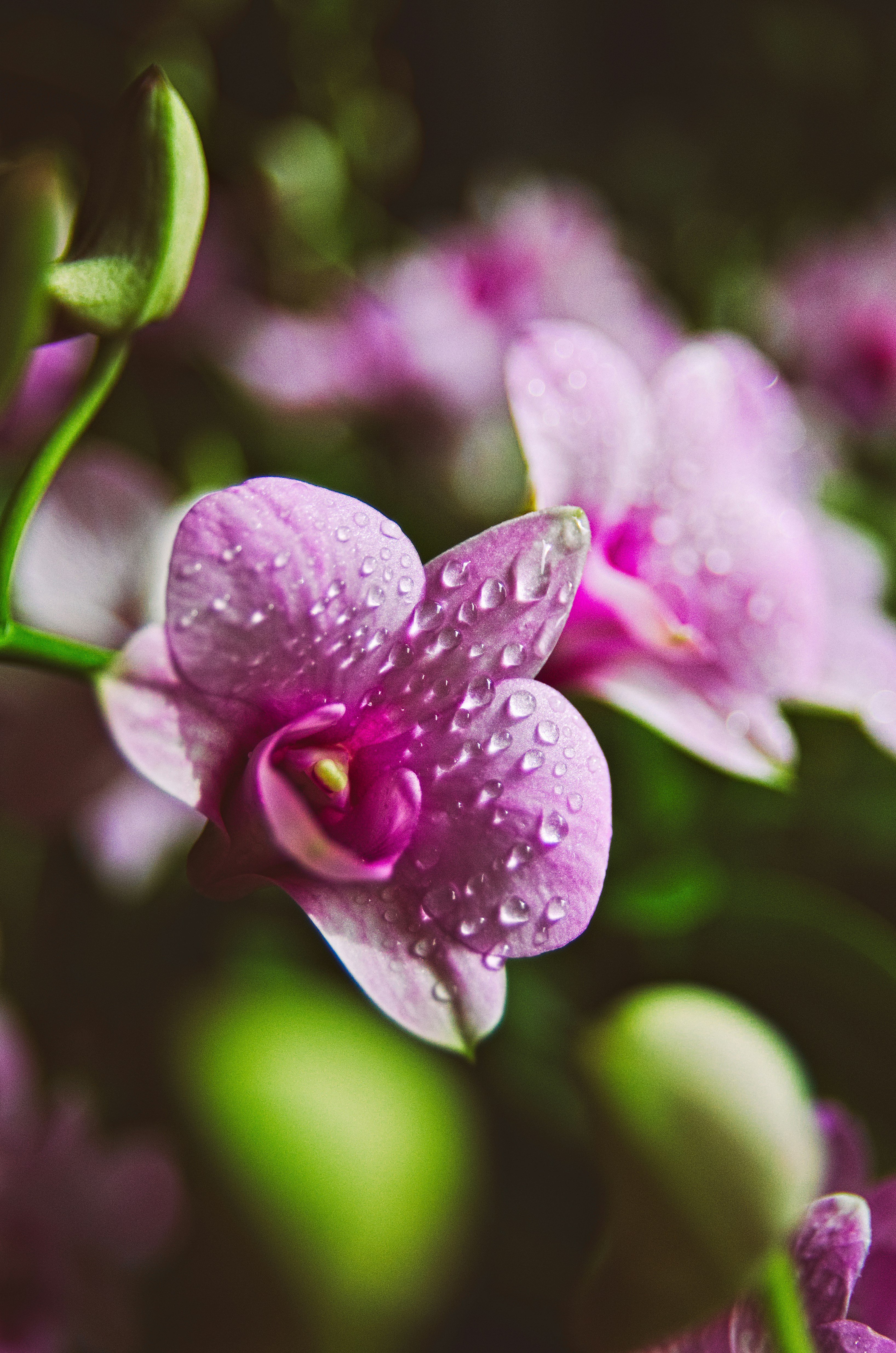 Photo by techadvancedcyborg