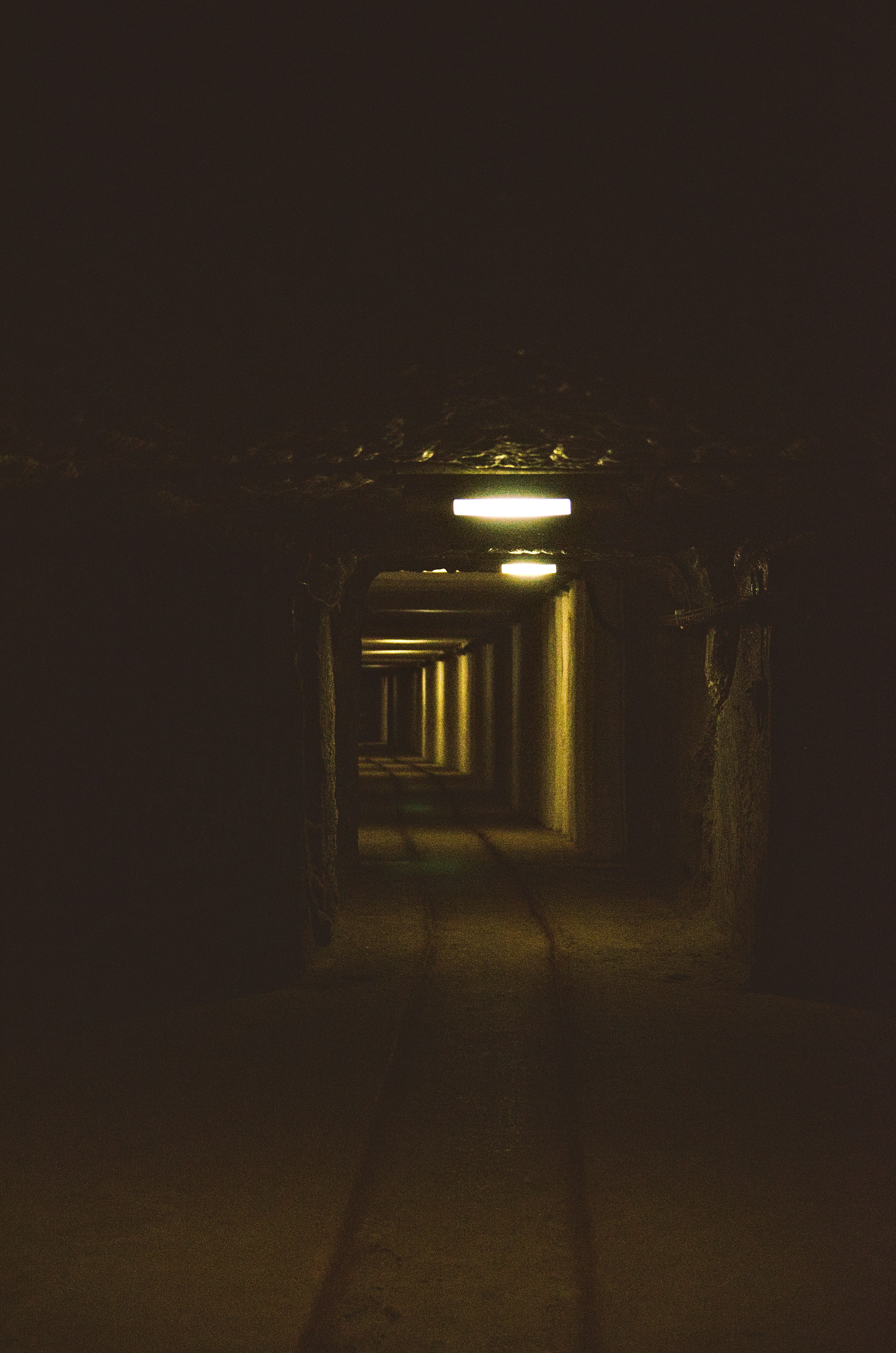 Photo by techadvancedcyborg