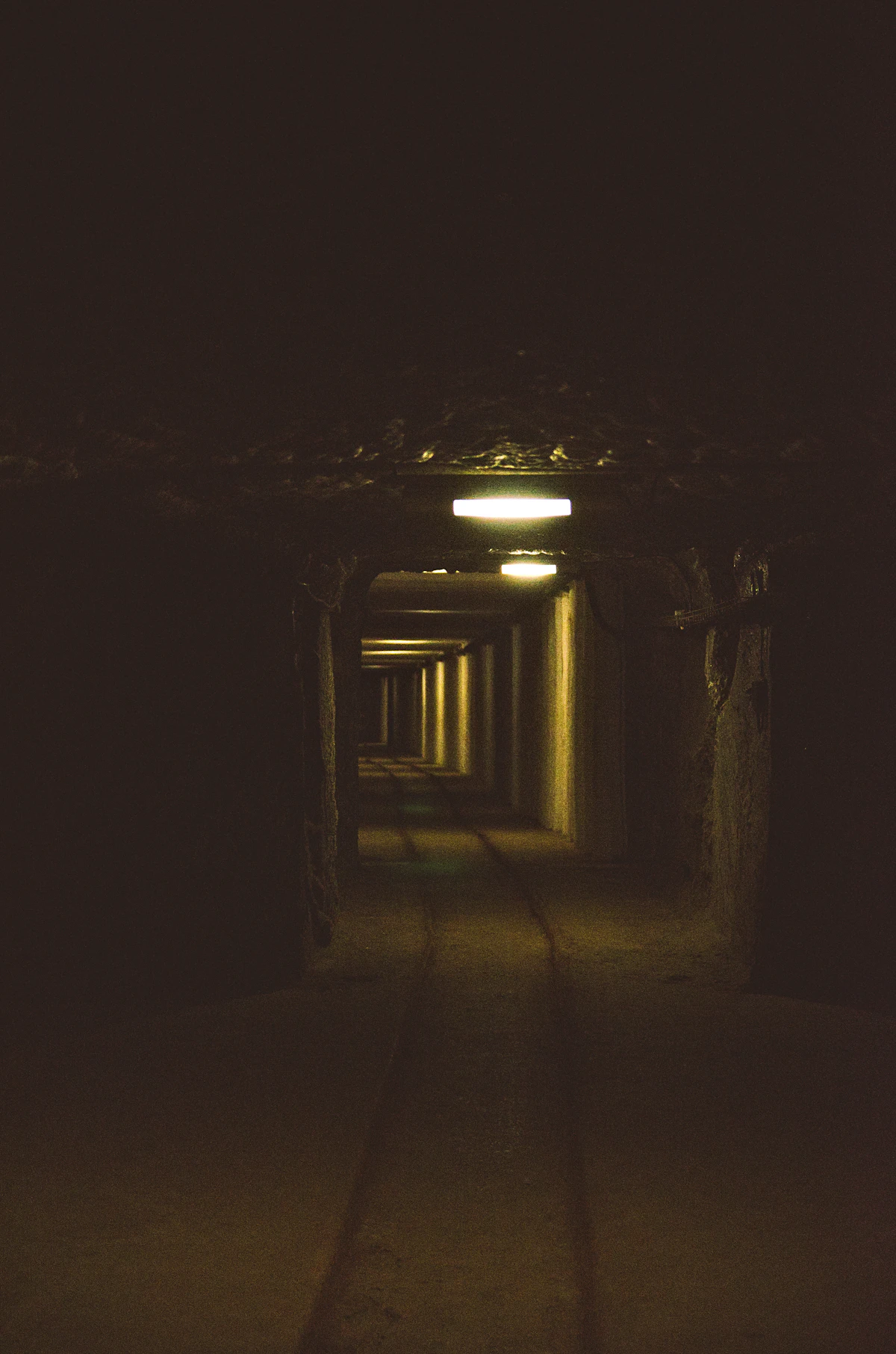 Mines de sel de Wieliczka