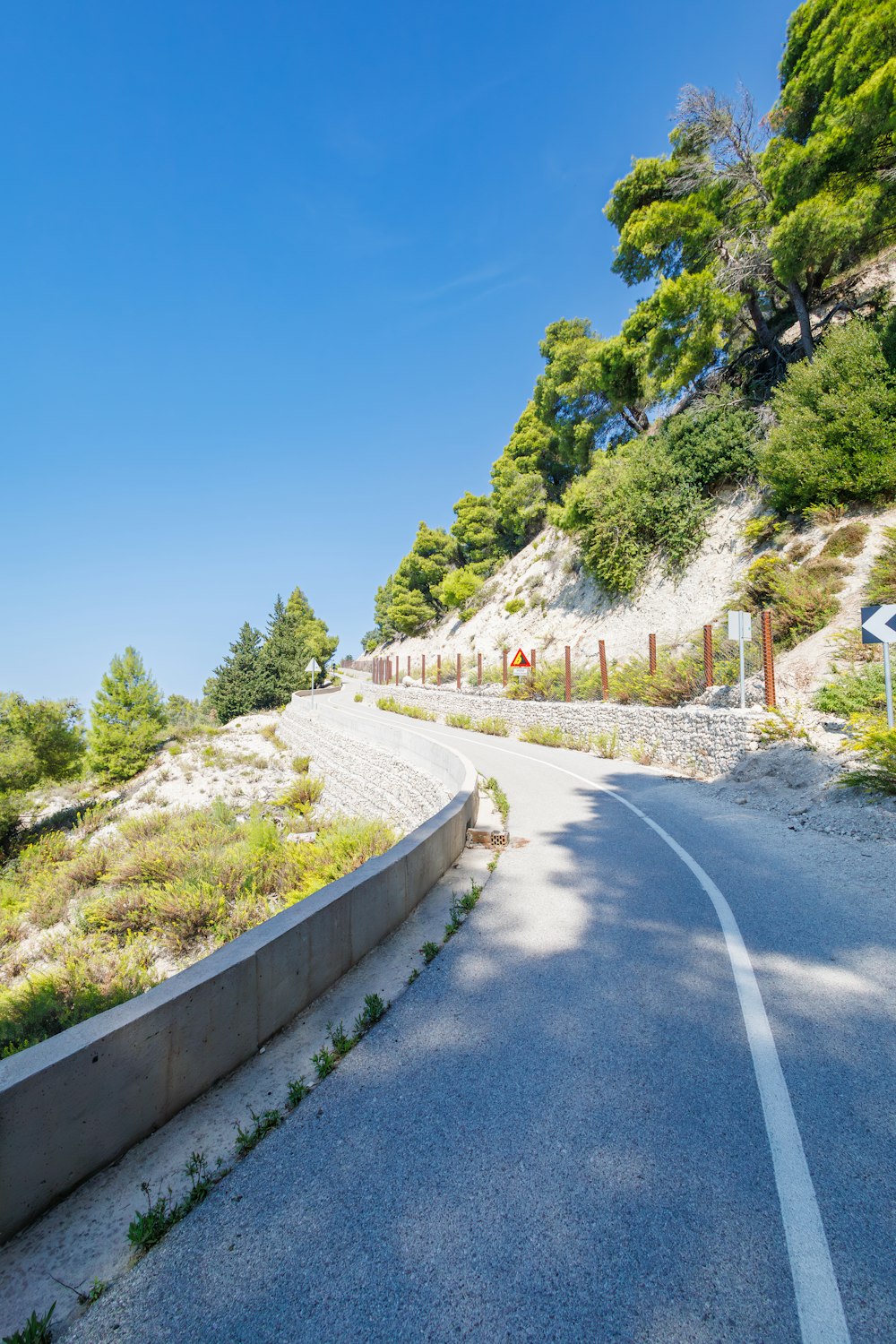 a curved road with trees on the side of it