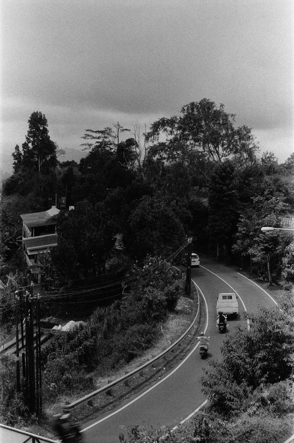 a black and white photo of a road and trees