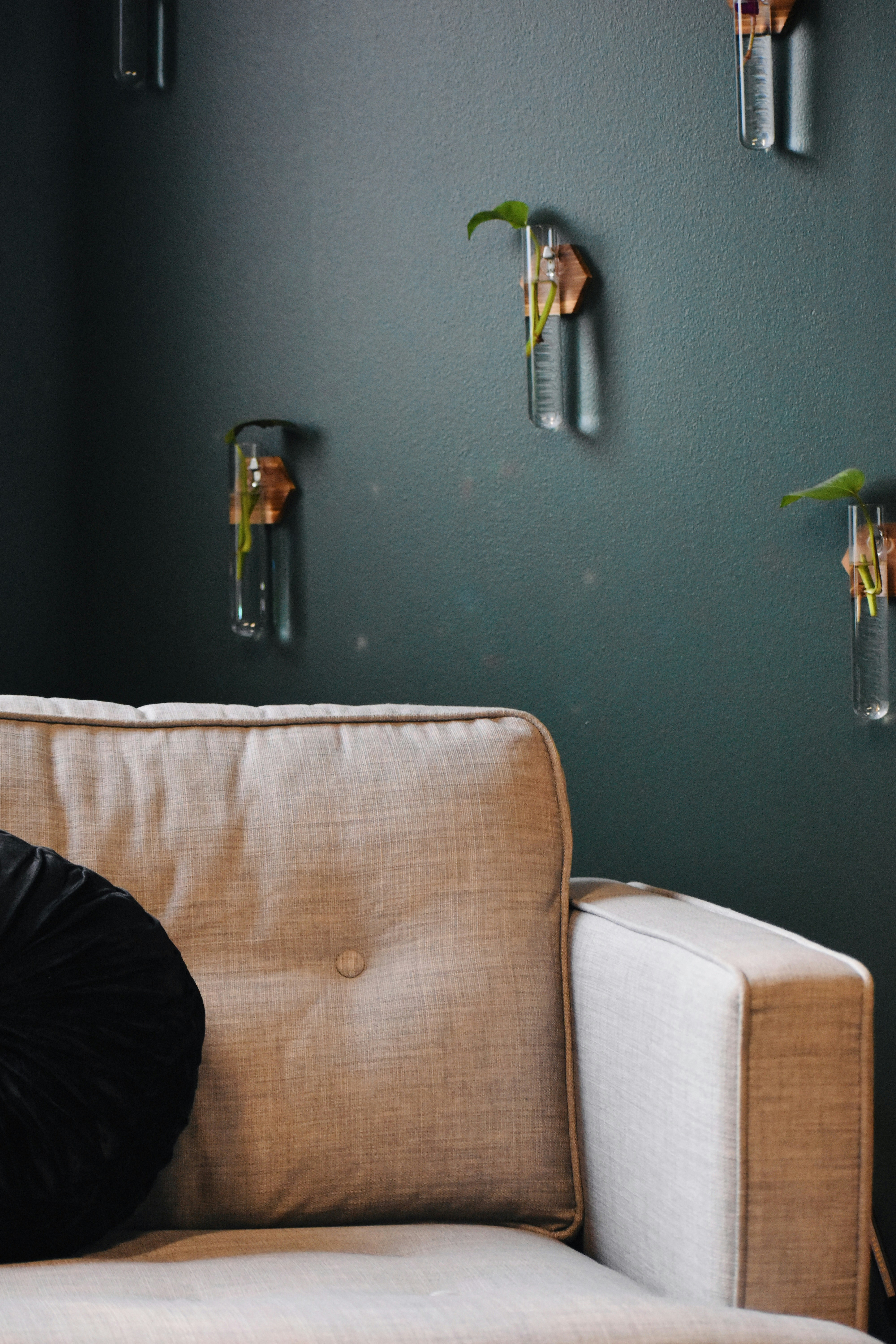 Photo by kendallambrose22