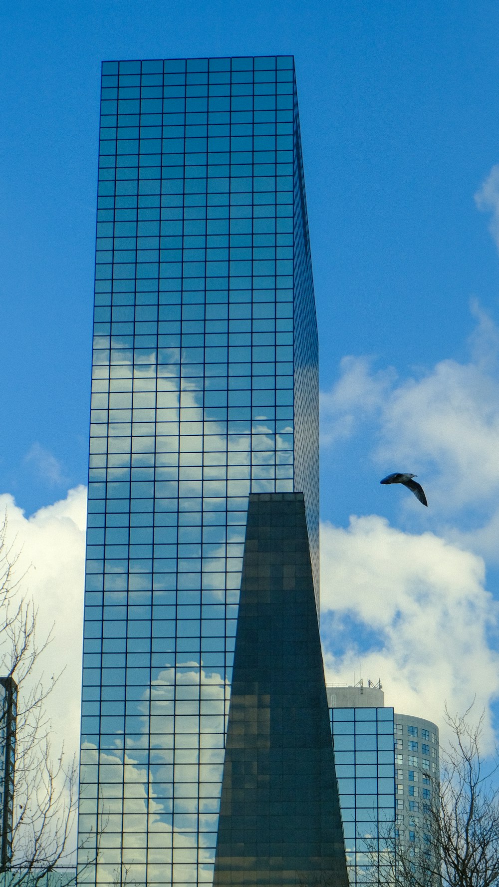 a bird flying in front of a tall building