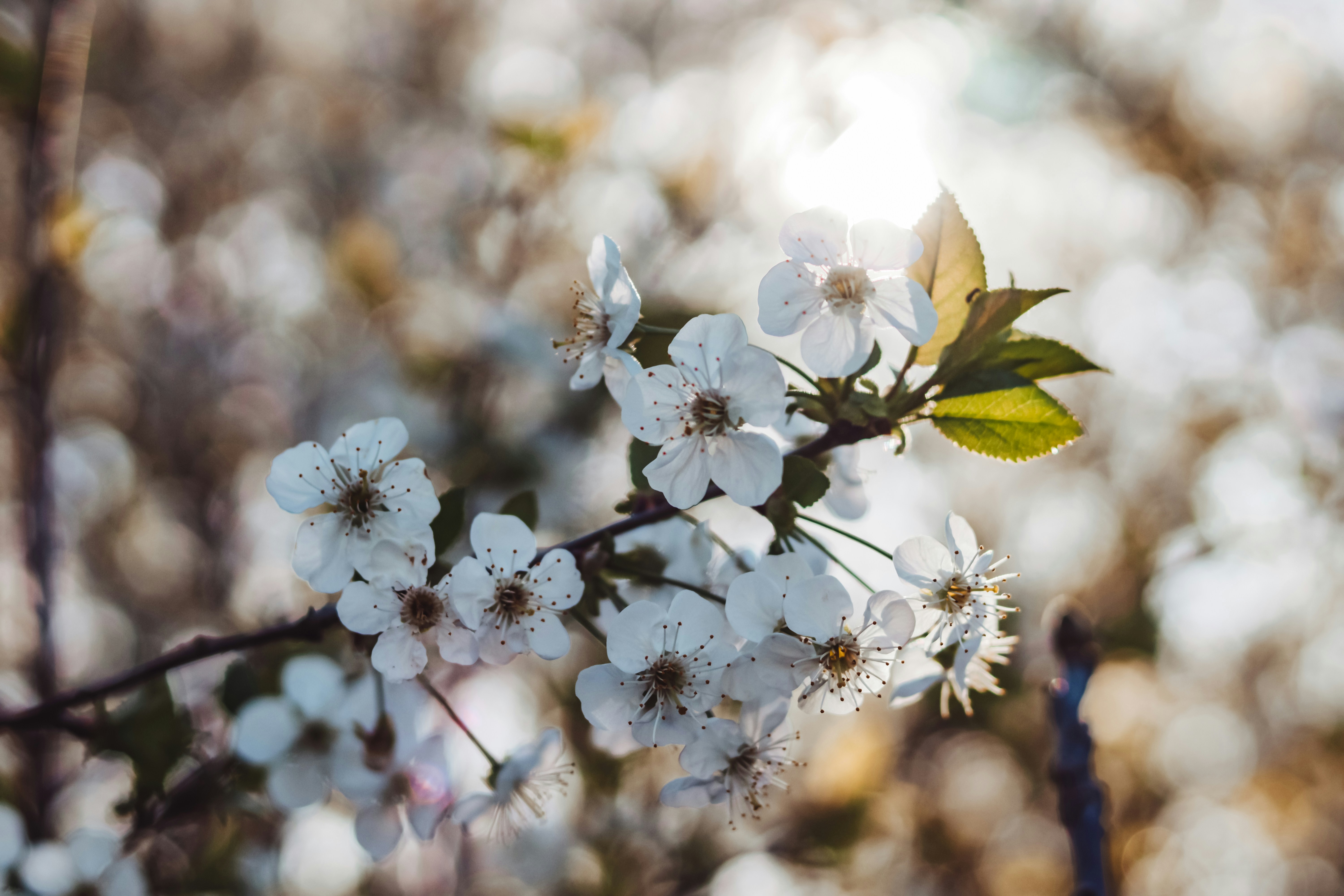Photo by greenmood
