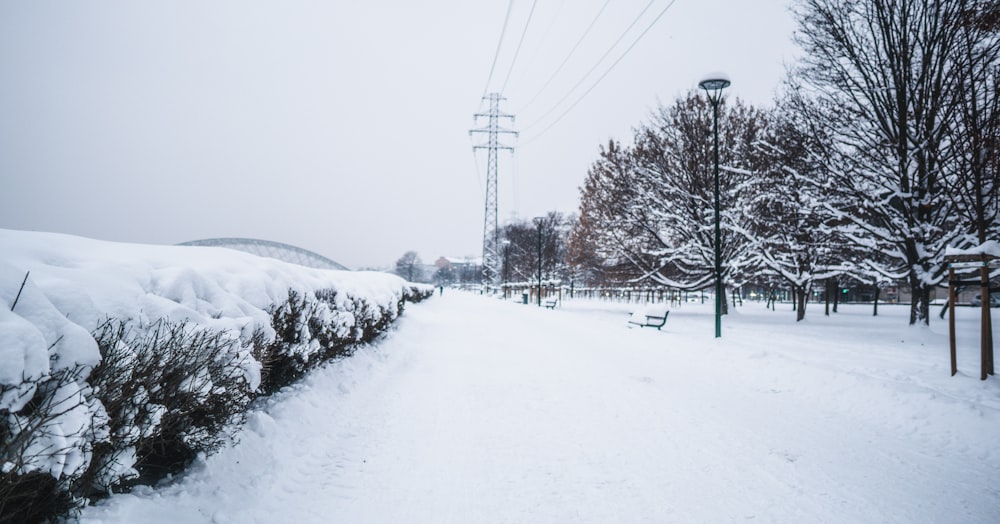 a snow covered path next to a row of trees