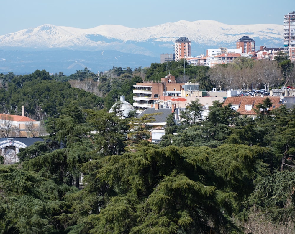 a view of a city with mountains in the background