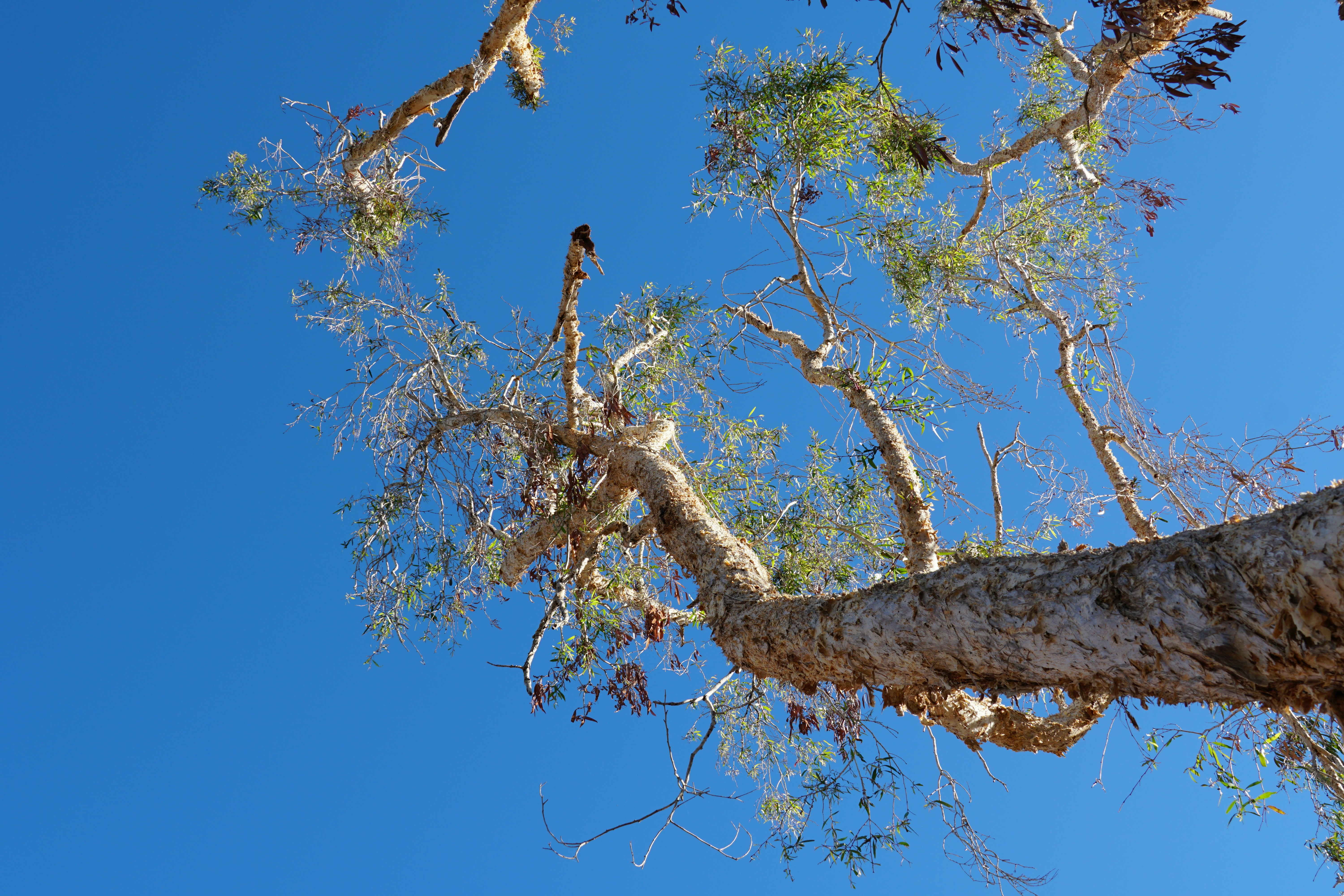 Kimberley Region, Australia - None