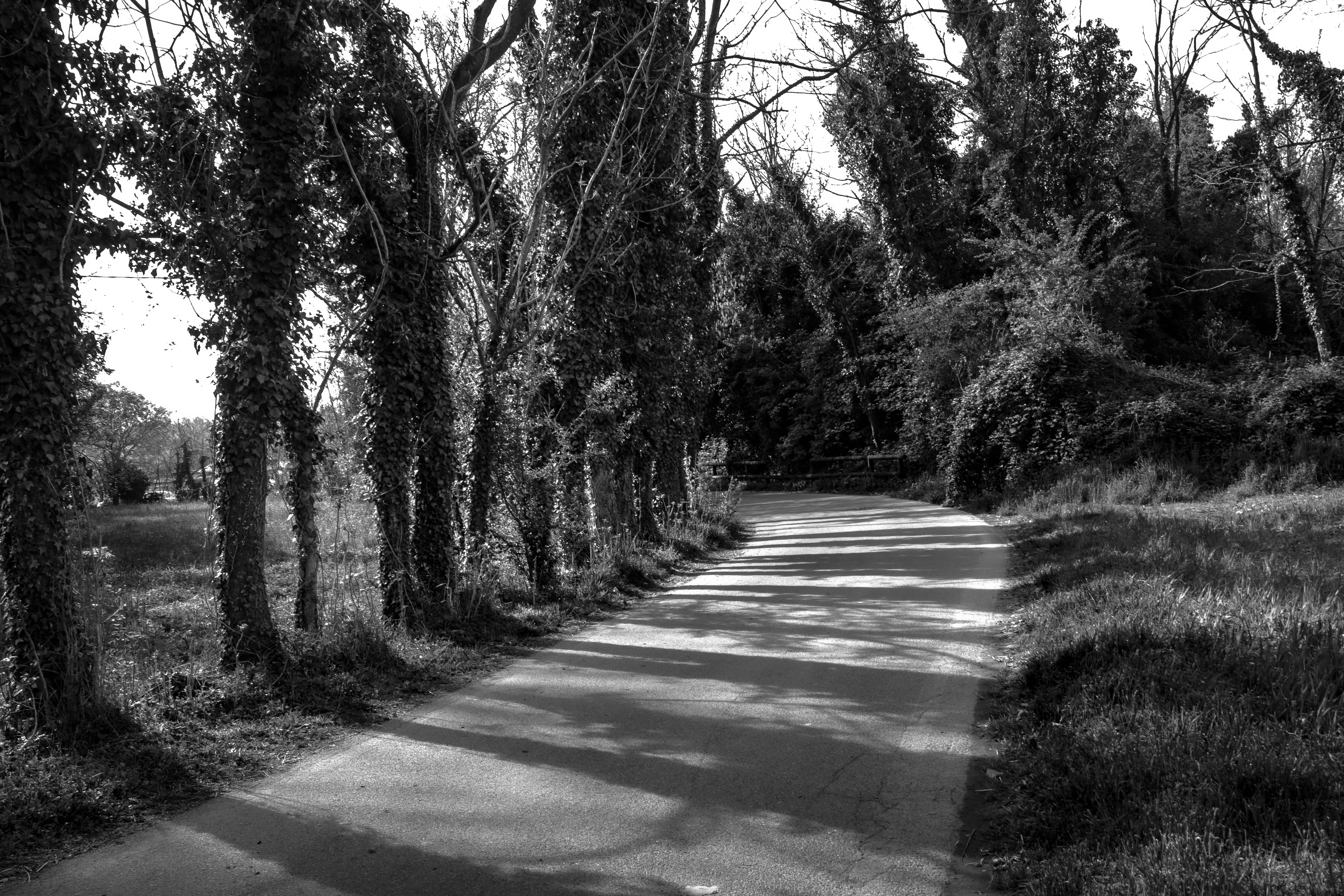 Photo by appunti_di_asa