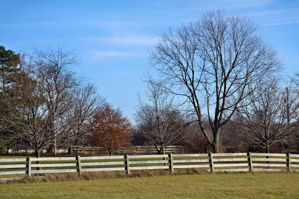 a white fence in a grassy field with trees in the background