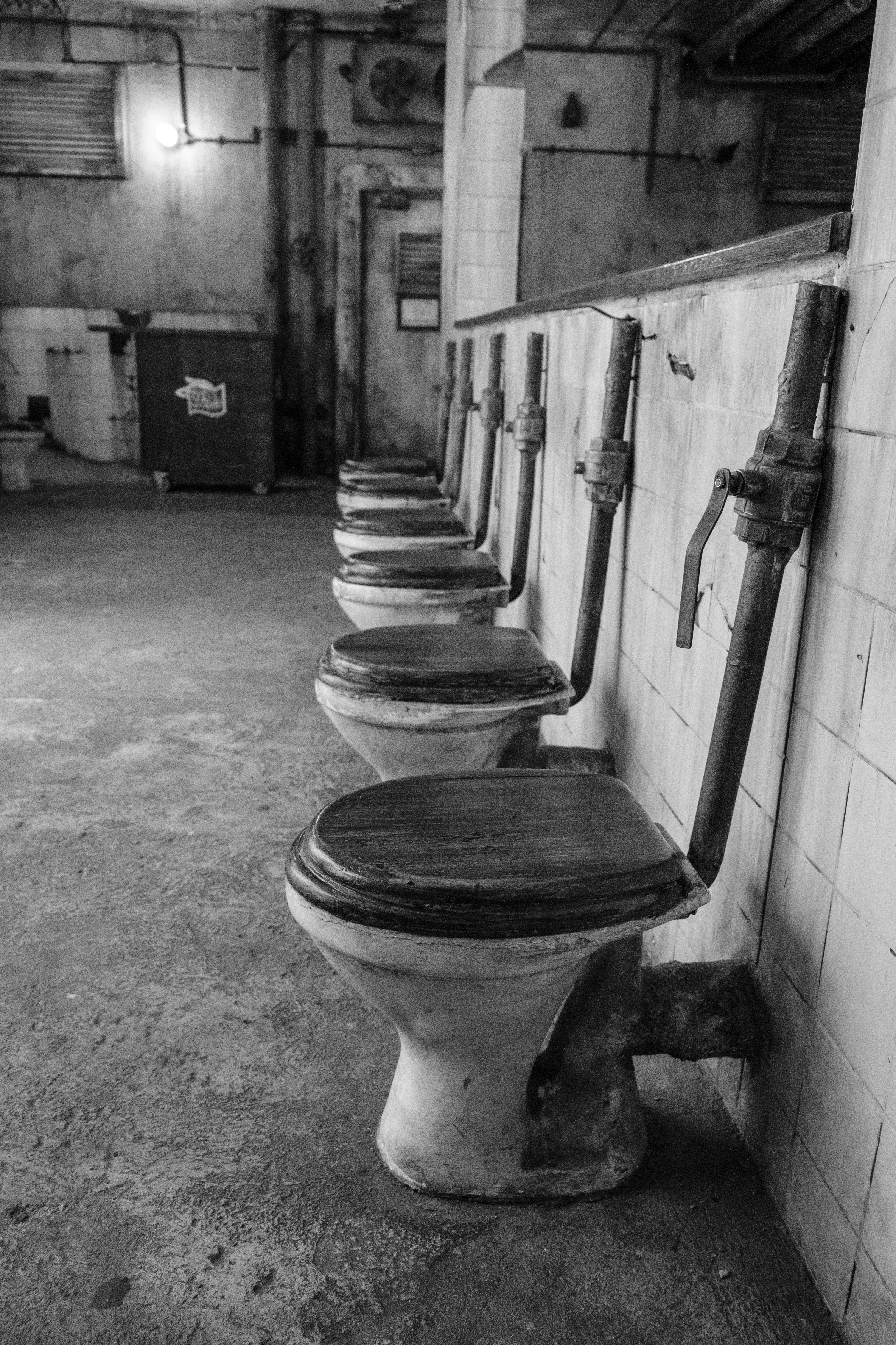 uShaka Marine World photo 3