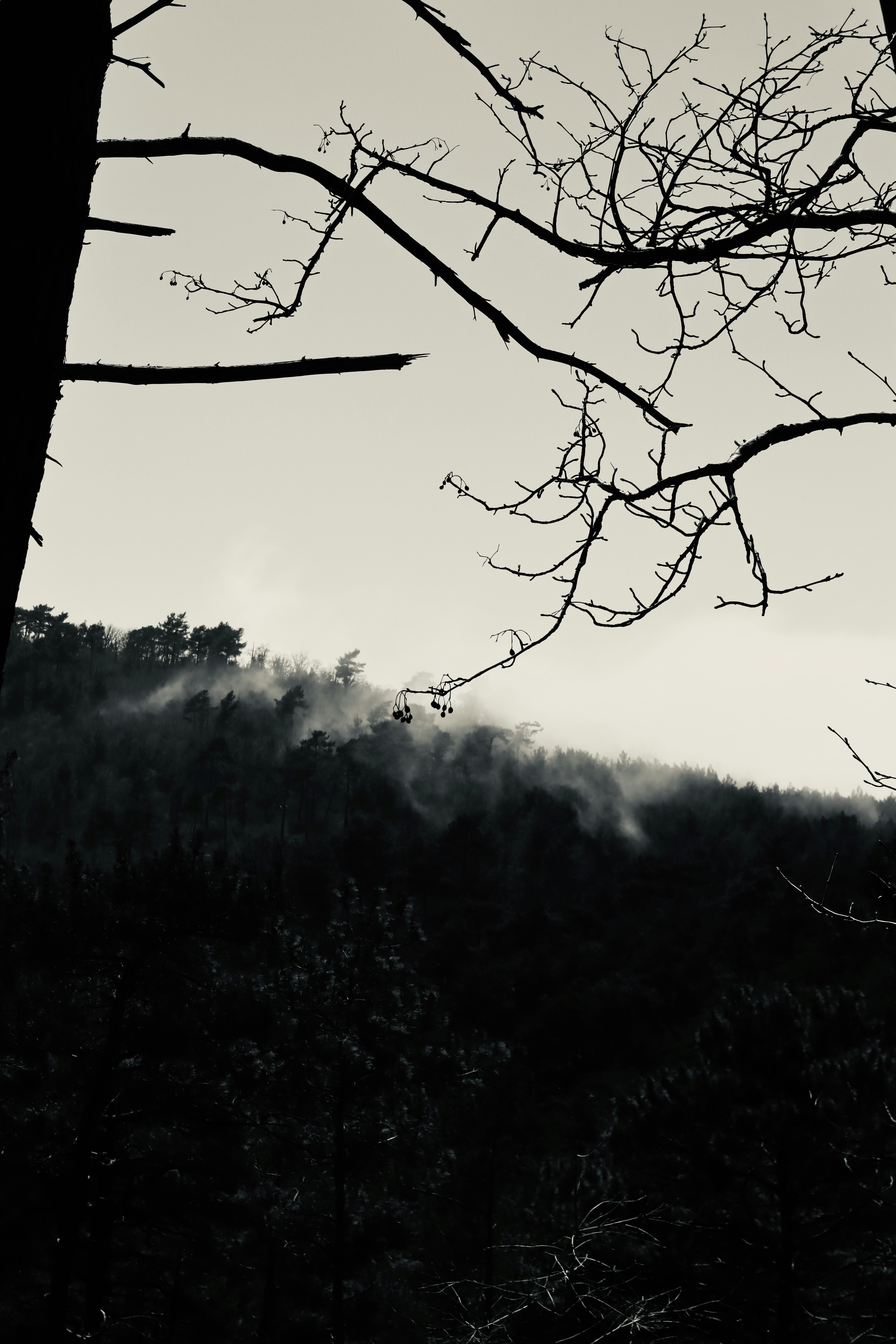 Photo by silenzzi