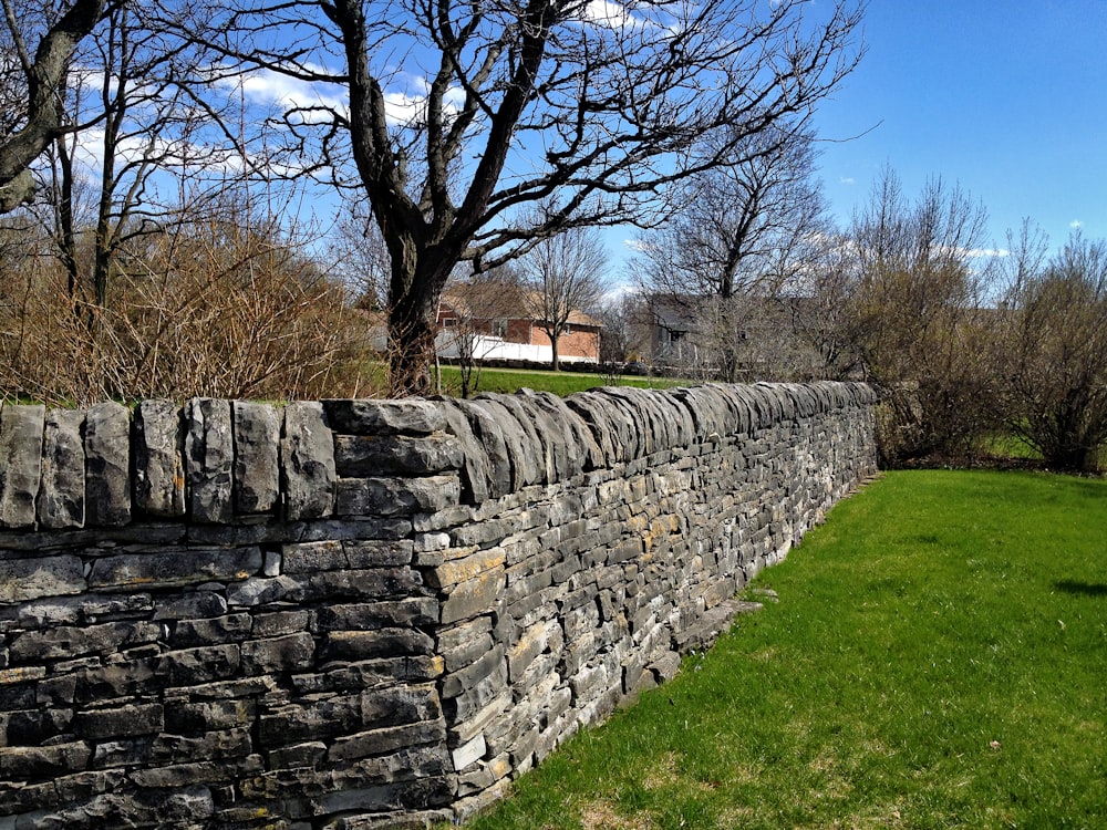 a stone wall with grass and trees in the background