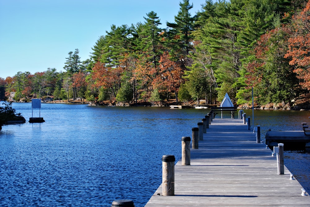 a dock on a lake surrounded by trees