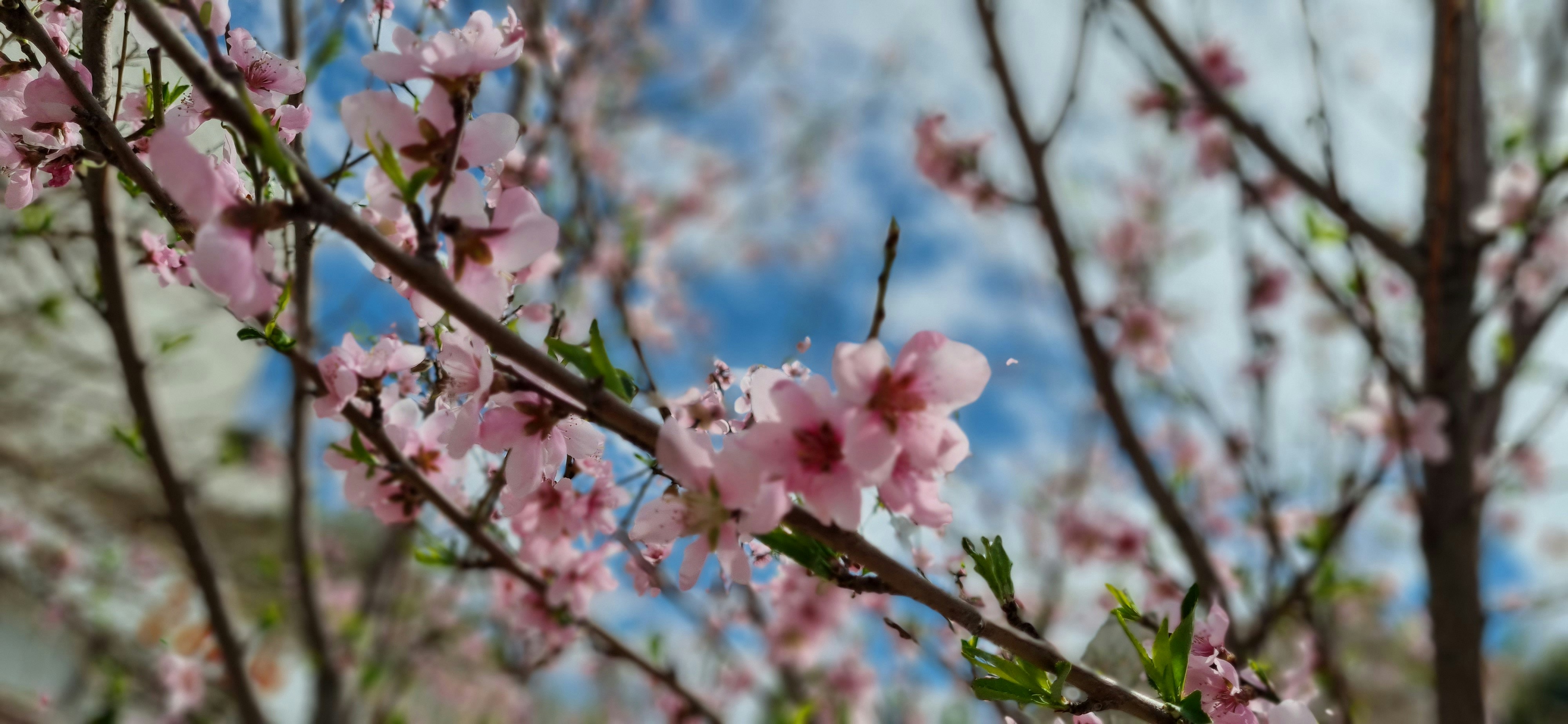 Photo by moonlightdaughterlens