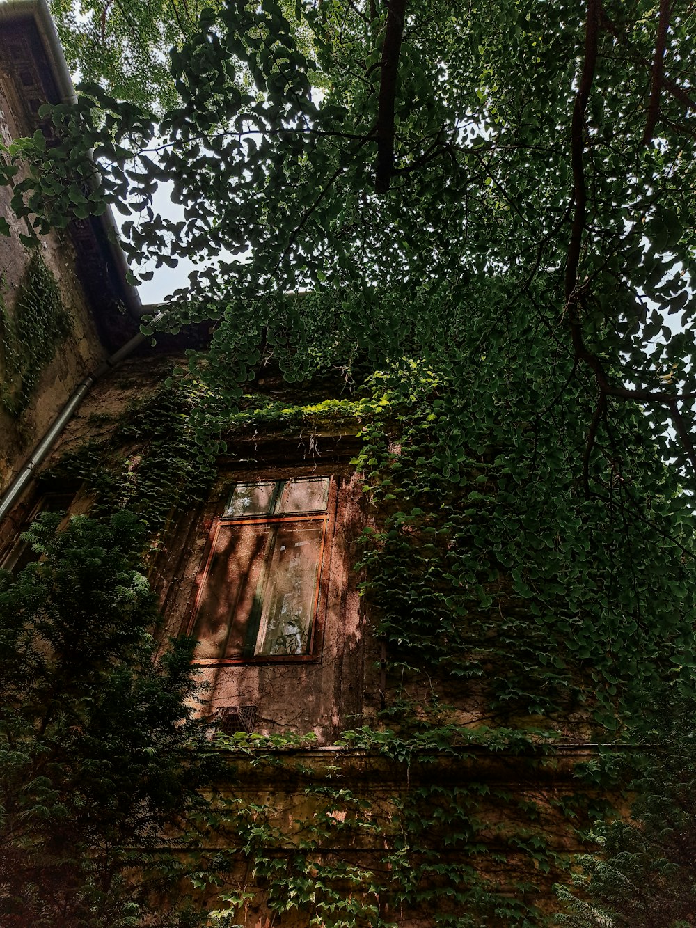 an old building covered in vines and ivys