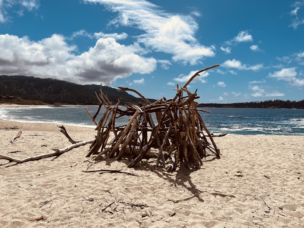 a pile of sticks sitting on top of a sandy beach